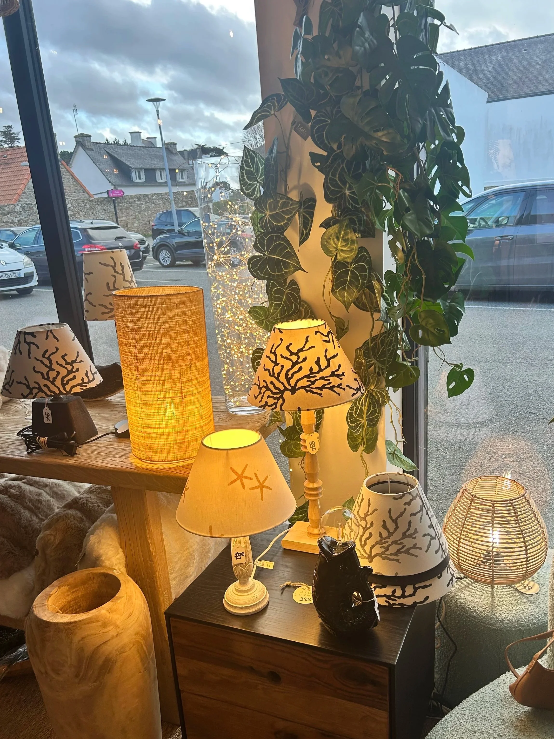 Vitrine d'une boutique d'éclairage avec plusieurs lampes et luminaires, certains avec des abat-jour décoratifs de motifs marin, placés sur une table en bois et un meuble en bois foncé. En arrière-plan, plantes vertes montantes et décoration lumineuse