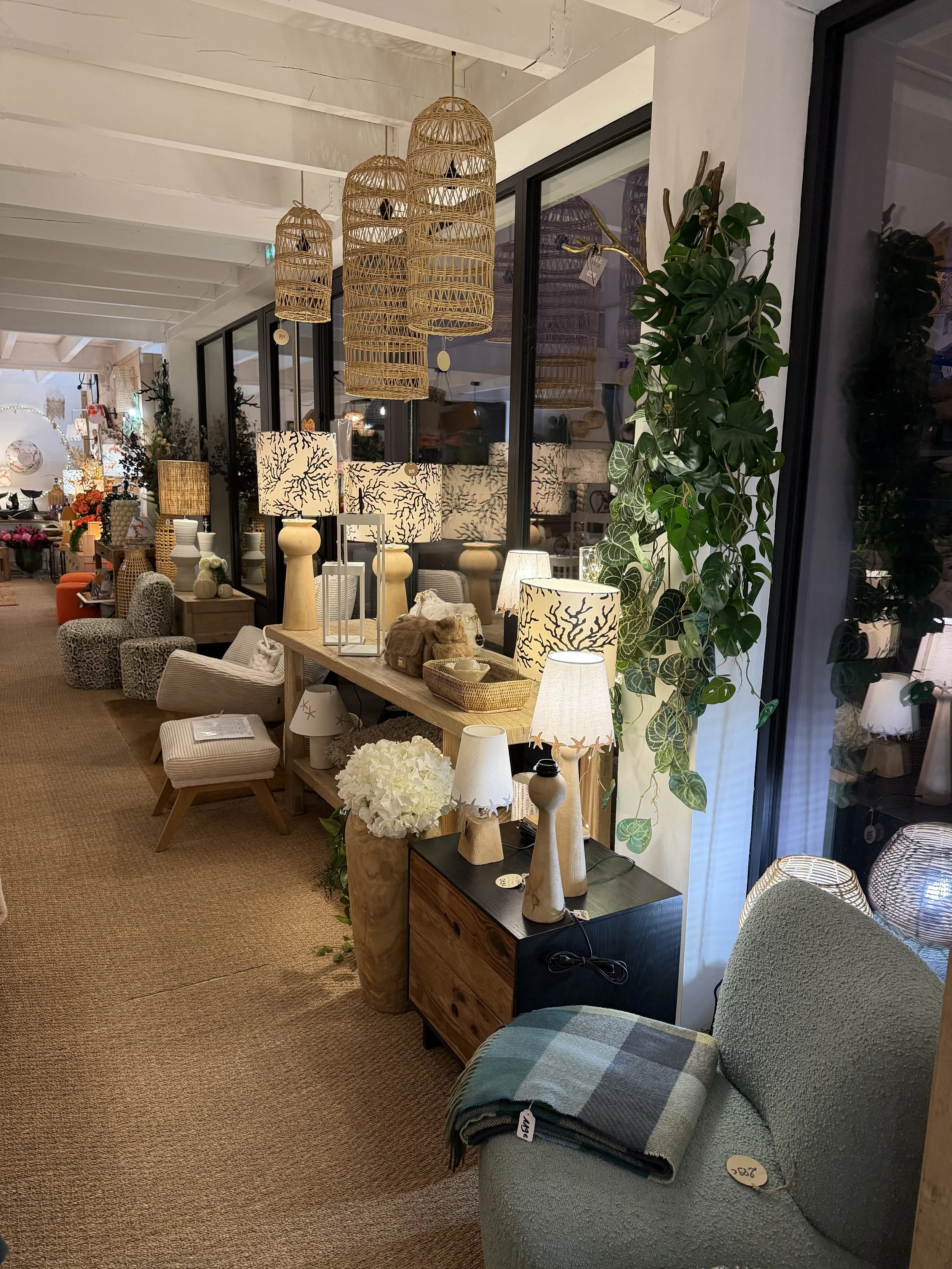 Intérieur d’un magasin de décoration avec des lampes, des plantes et des meubles en bois.