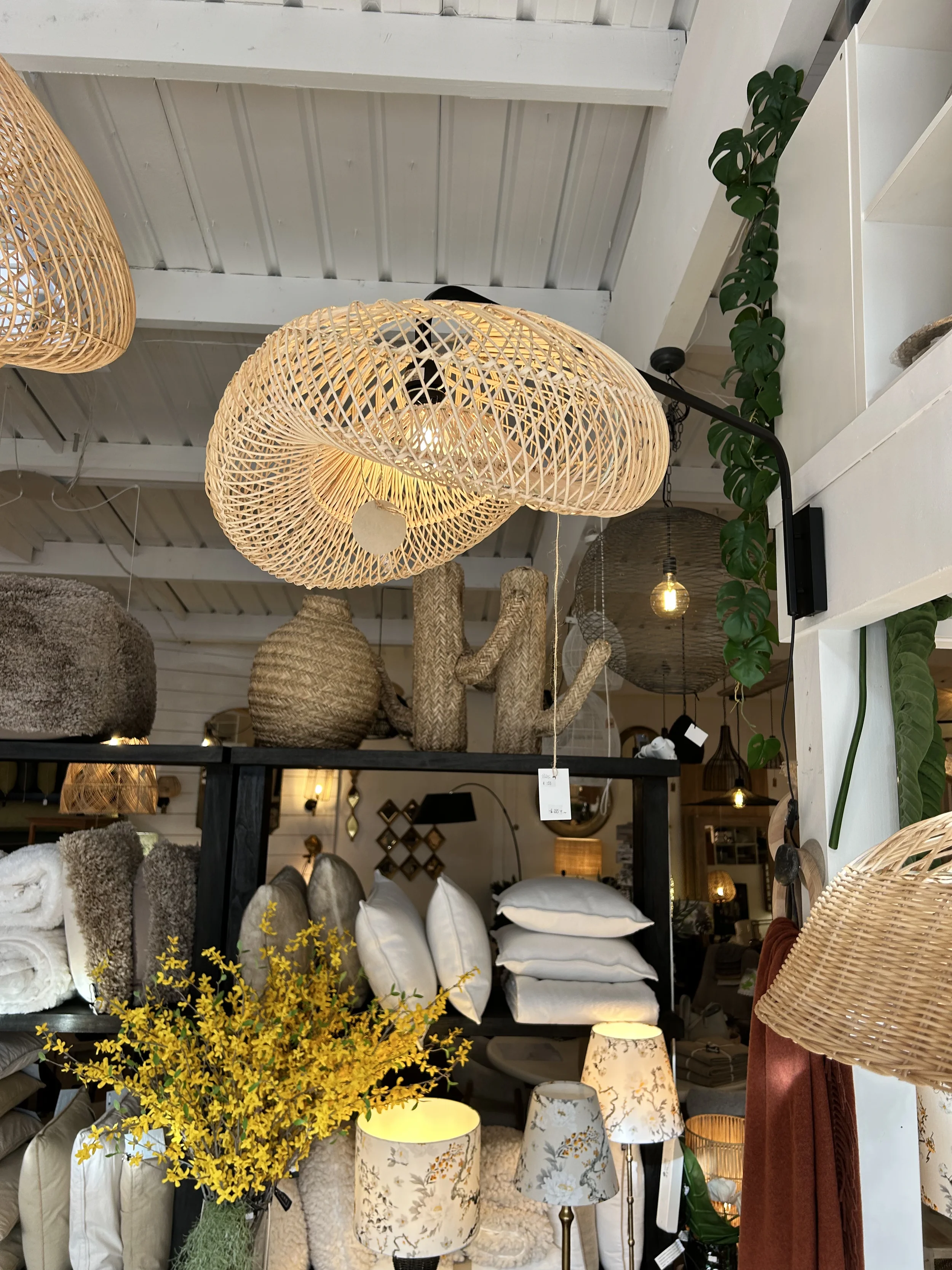 Une boutique de décoration intérieure avec des luminaires en osier, des coussins, des rideaux, des lampes et des plantes d'intérieur.