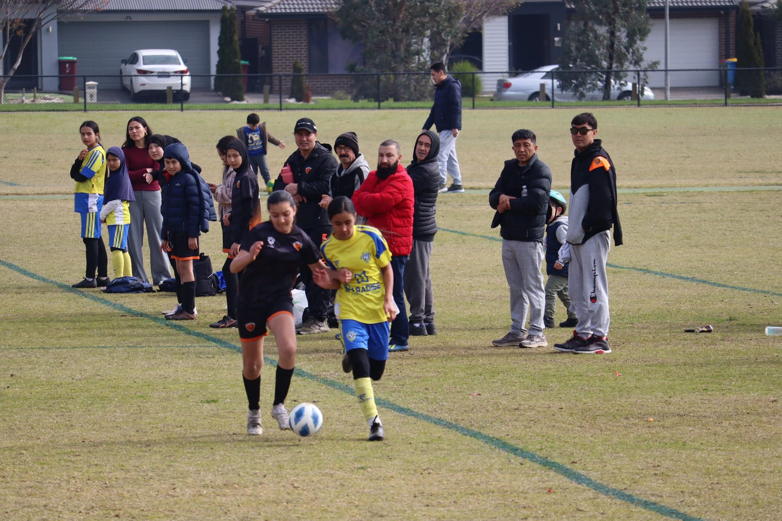 IMG_7446.JPG