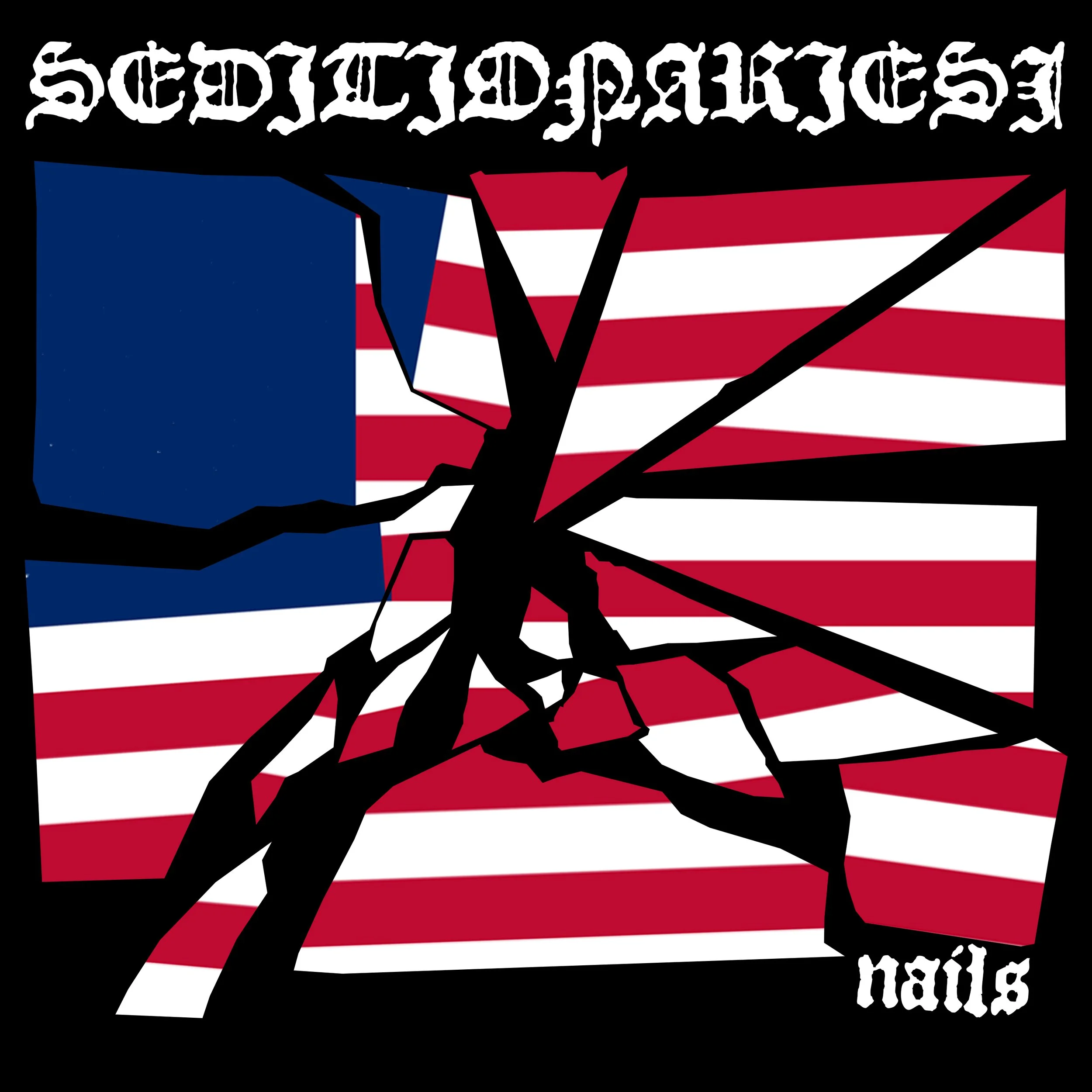 ripped flag cover copy.jpg
