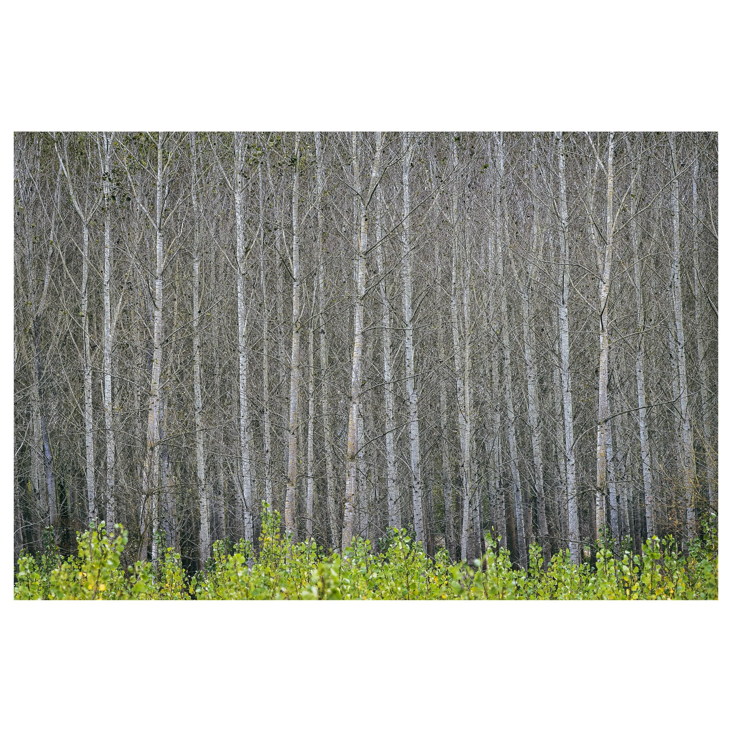 489-OO-BI 151-Avec accentuation-Bruit.jpg