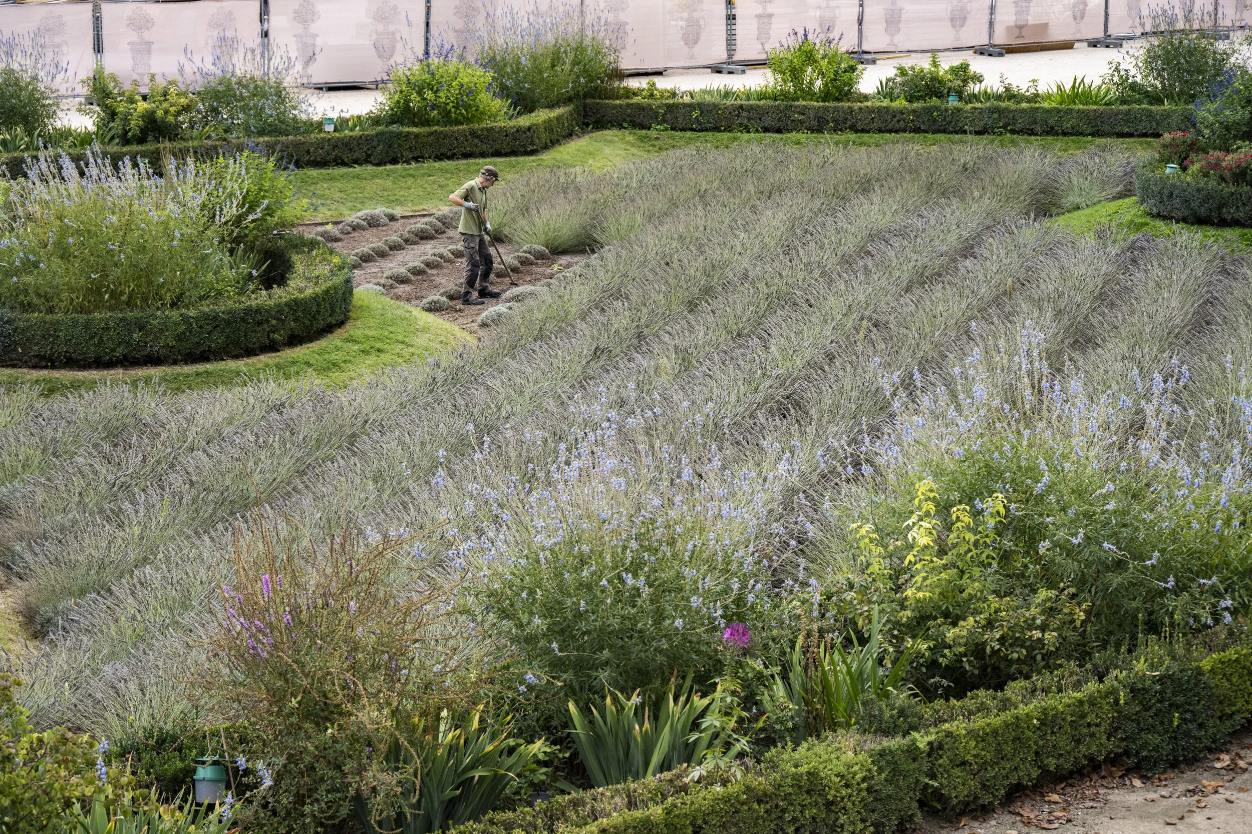 Louvre-OO-Fleurissement-Tuileries-2022-335.jpg