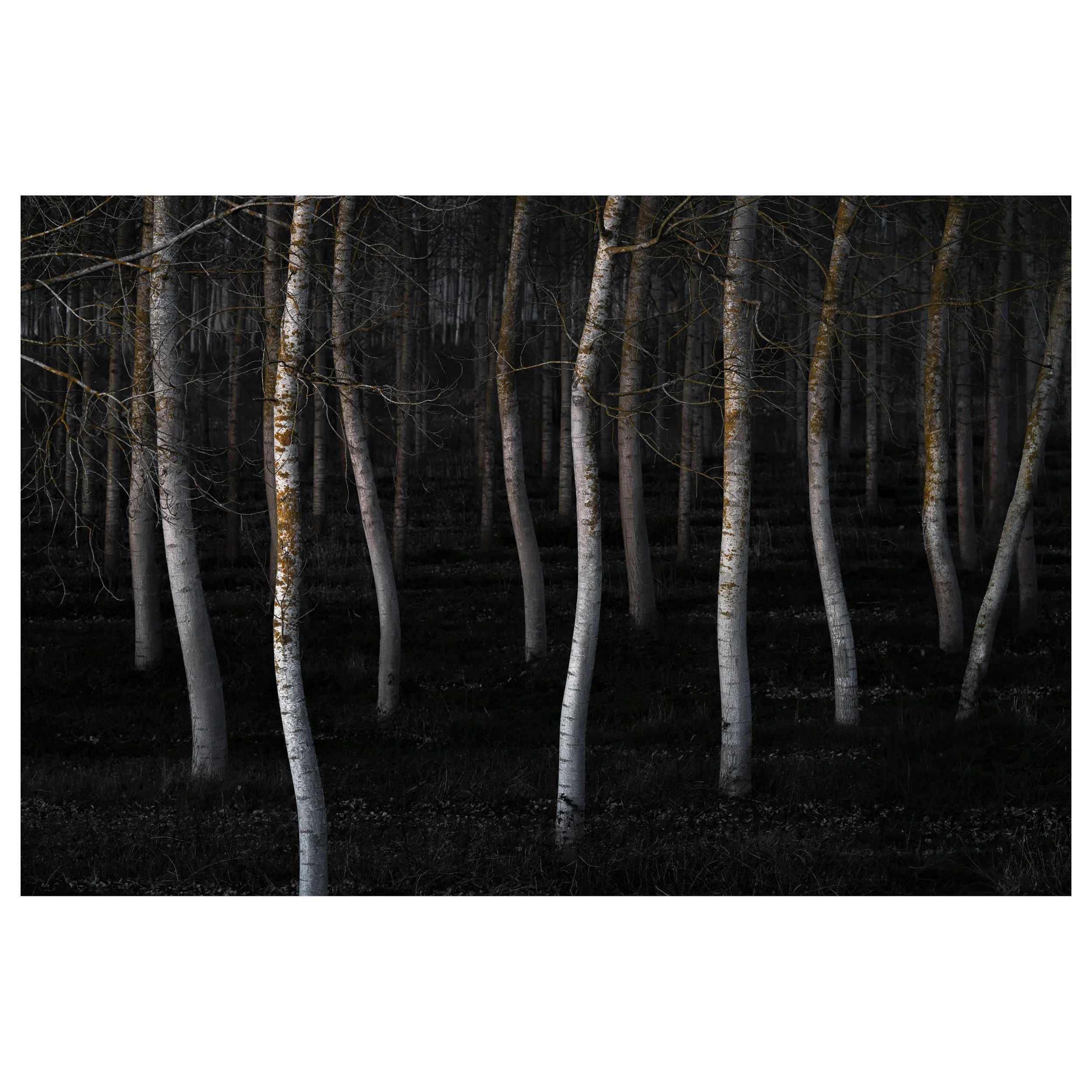 489-OO-BI 211-Avec accentuation-Bruit.jpg
