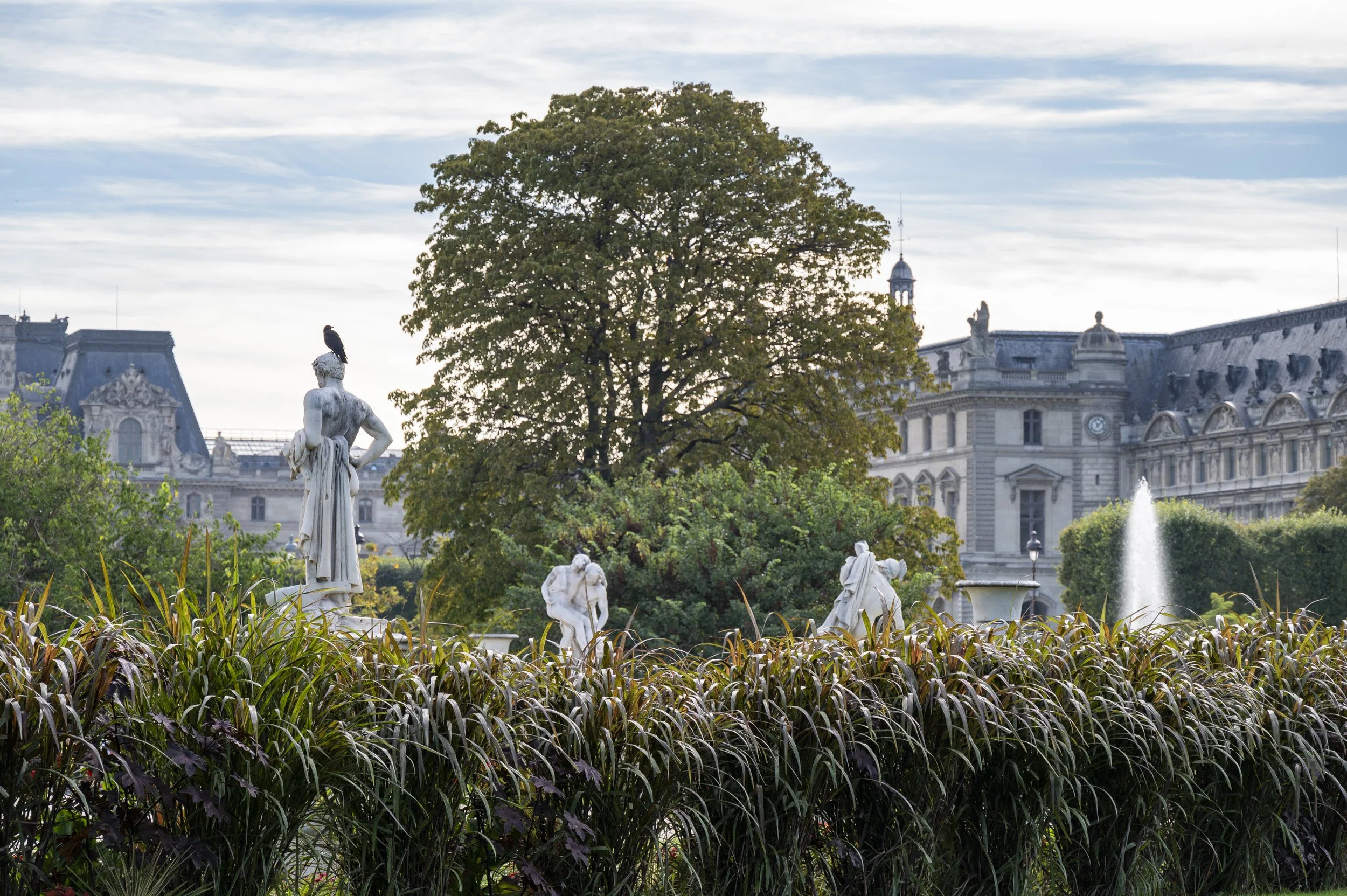 Louvre-OO-Fleurissement-Ete 2023-Tuileries 104.jpg
