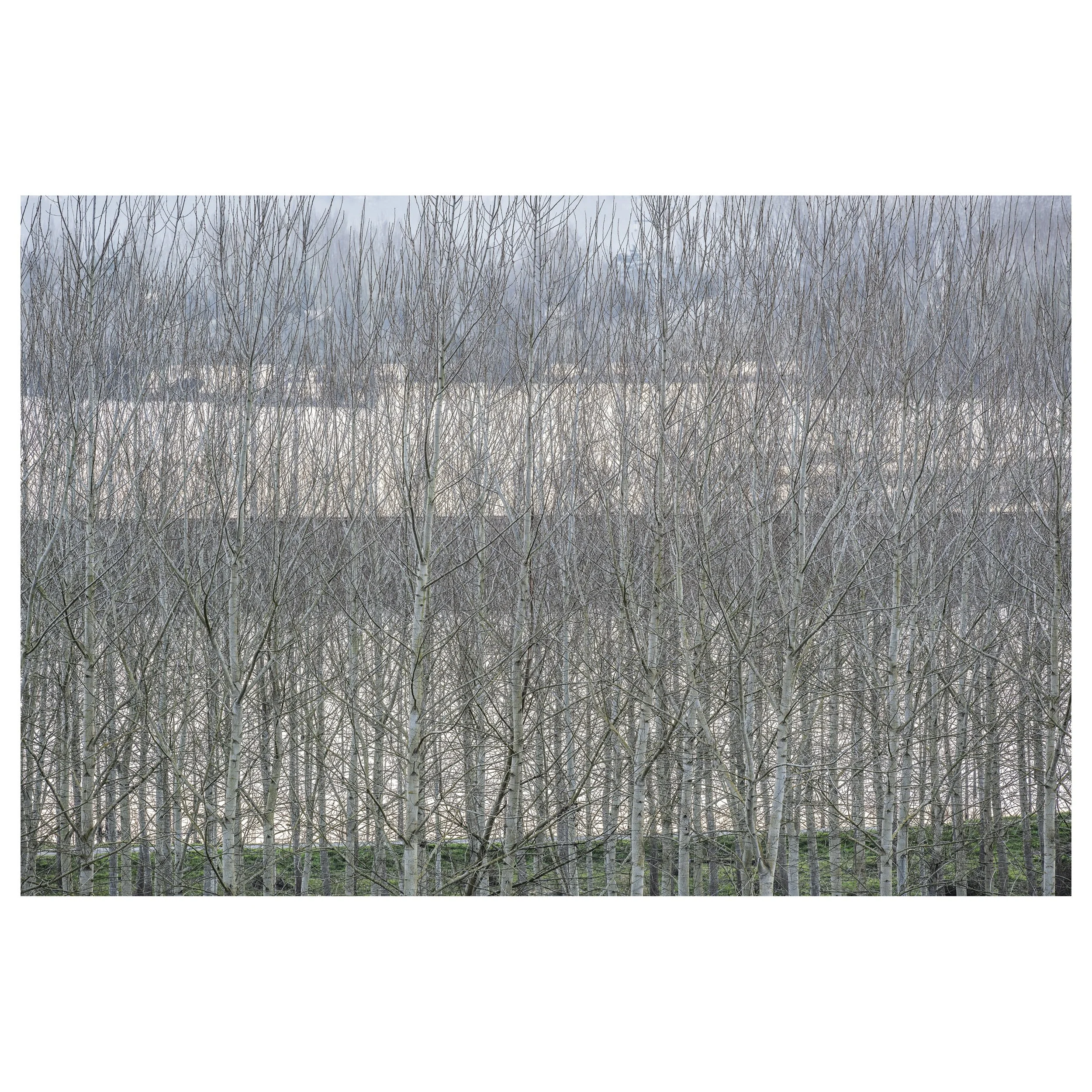 489-OO-BI 107-Avec accentuation-Bruit.jpg