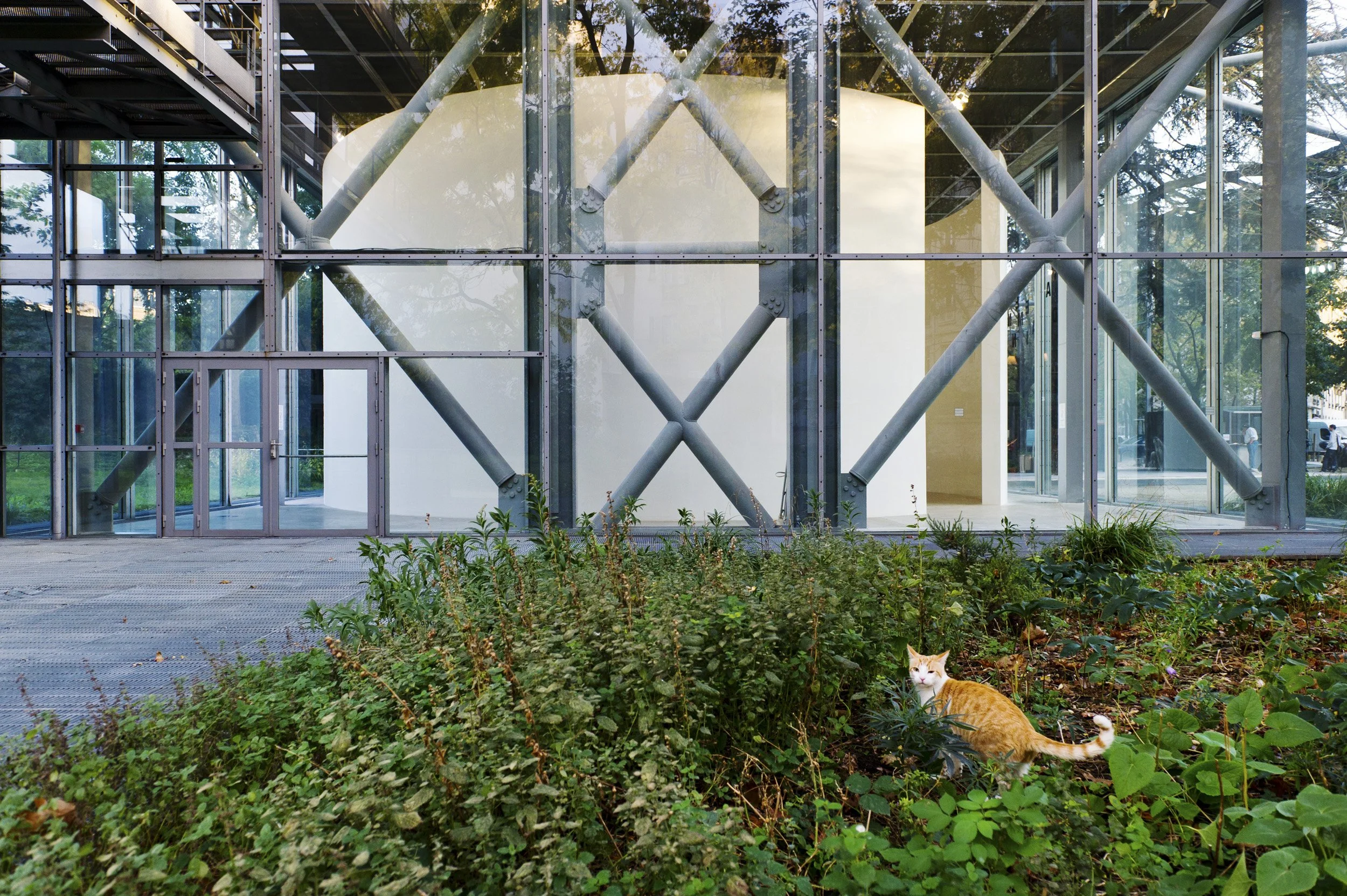 Fondation Cartier pour l'art contemporain Bd Raspail Paris