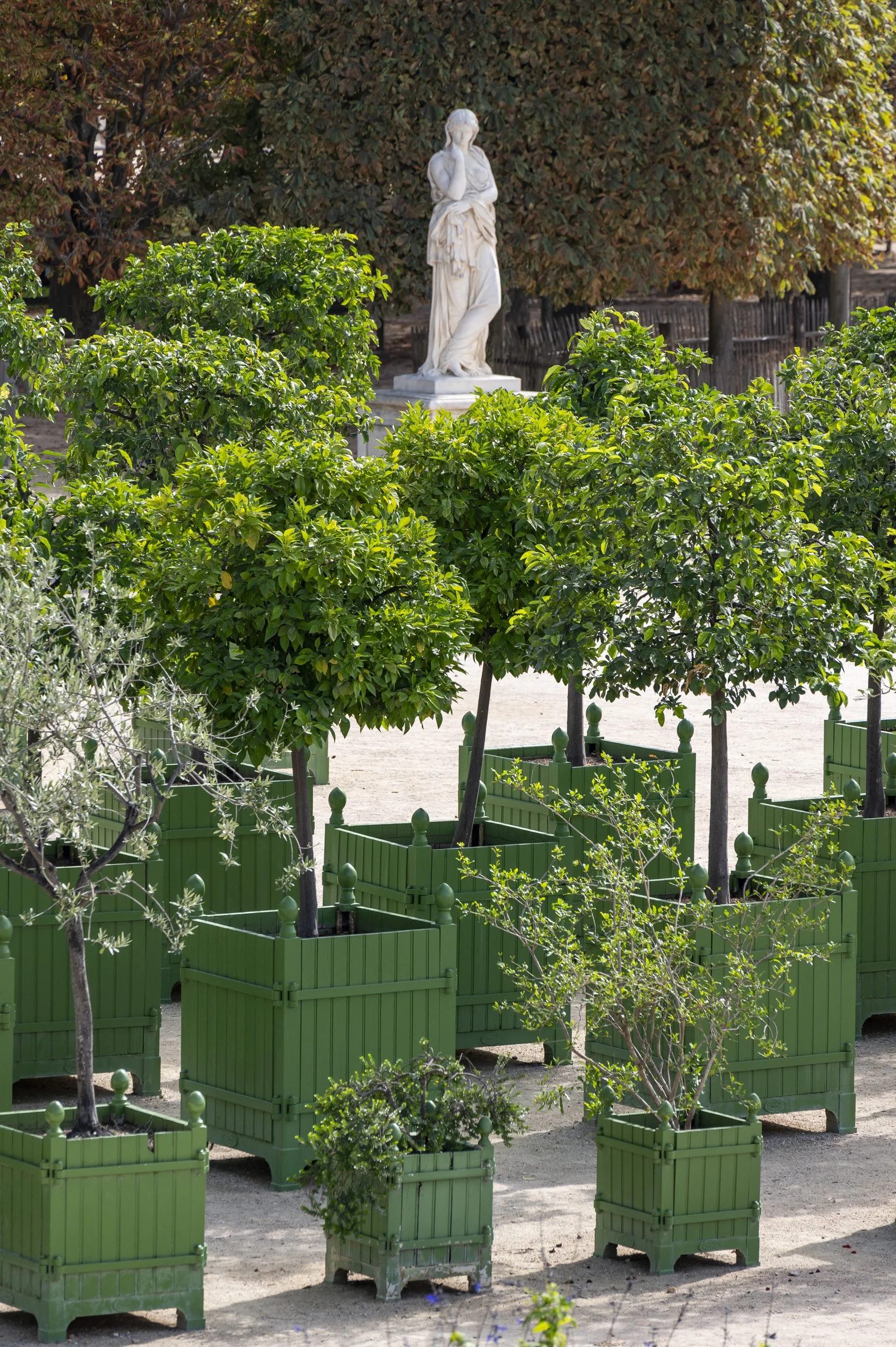 Louvre-OO-Fleurissement-Ete 2023-Tuileries 135.jpg