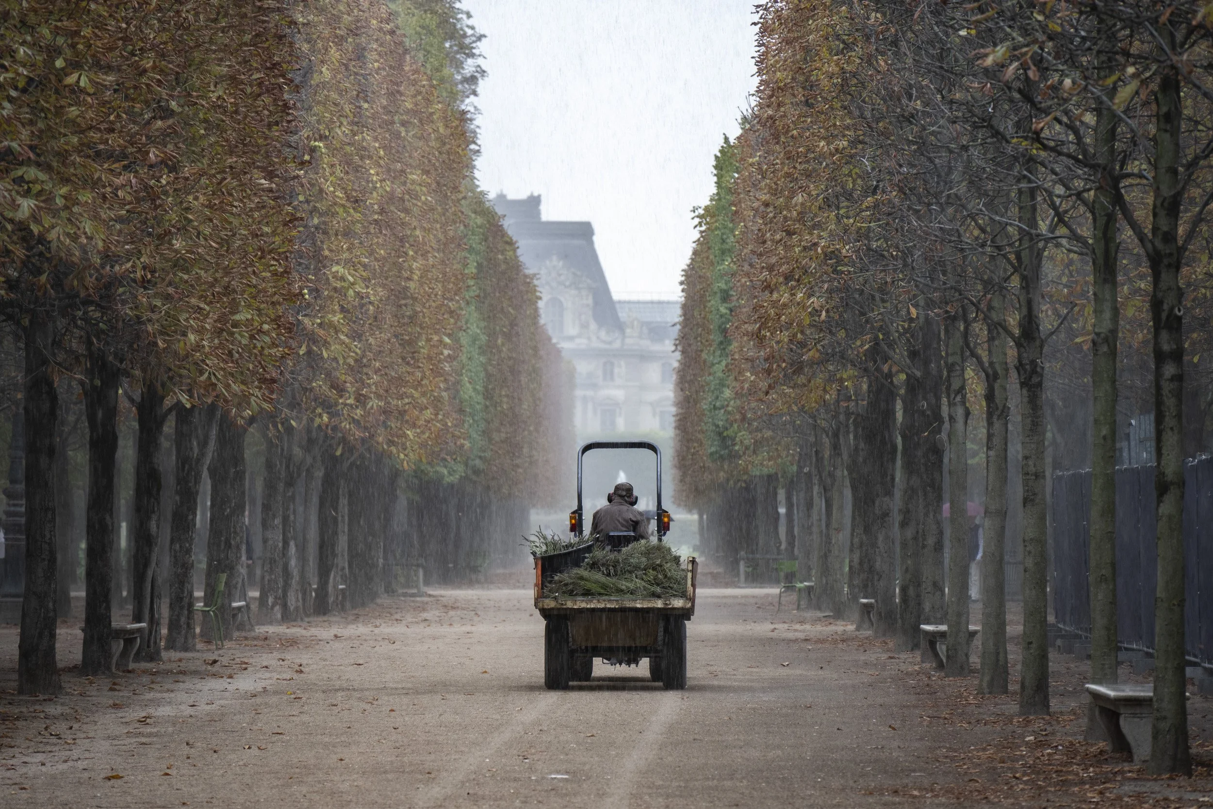 Louvre-OO-Fleurissement-Tuileries-2022-342.jpg