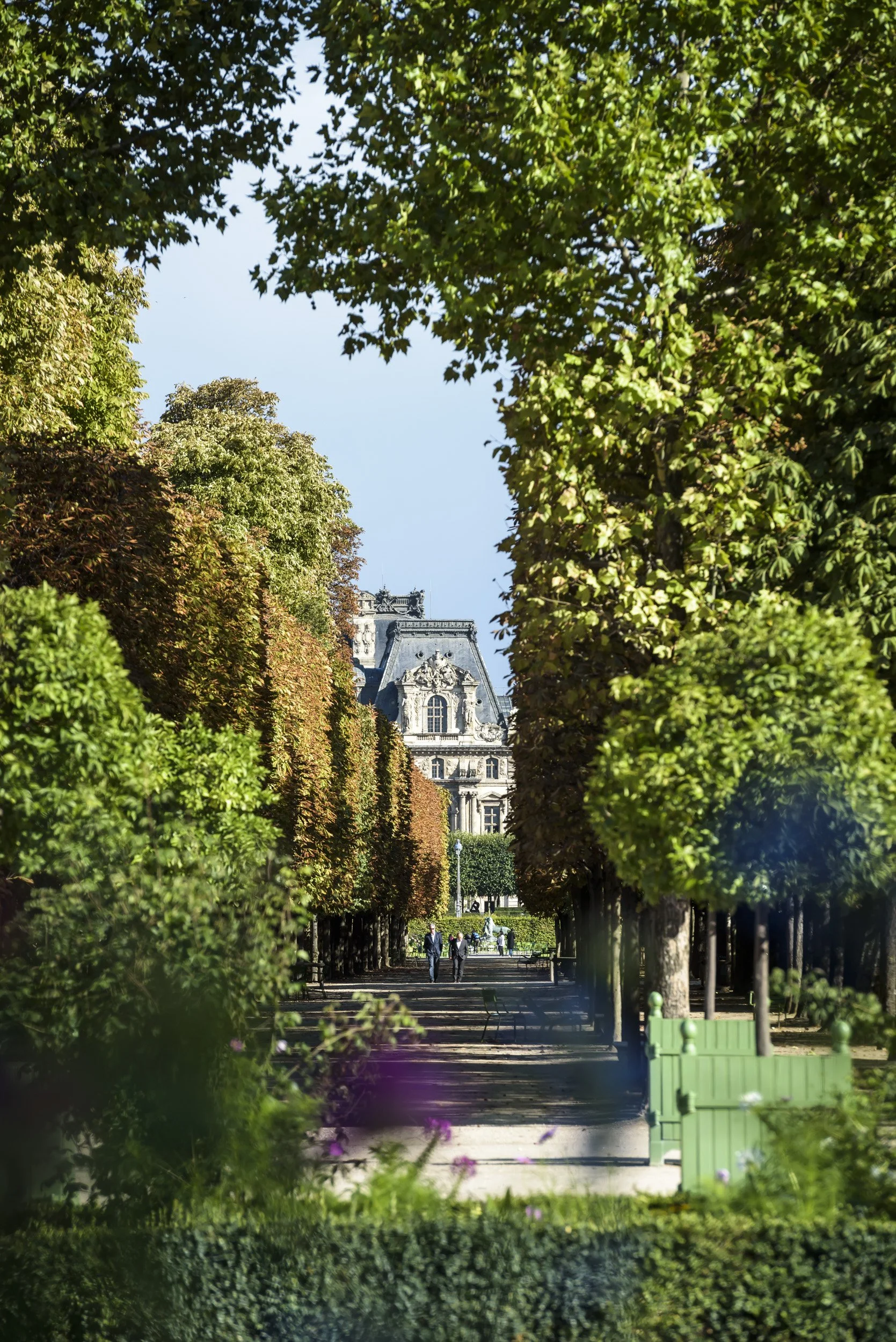 Louvre-Tuileries-Enfleurissement-120.jpg