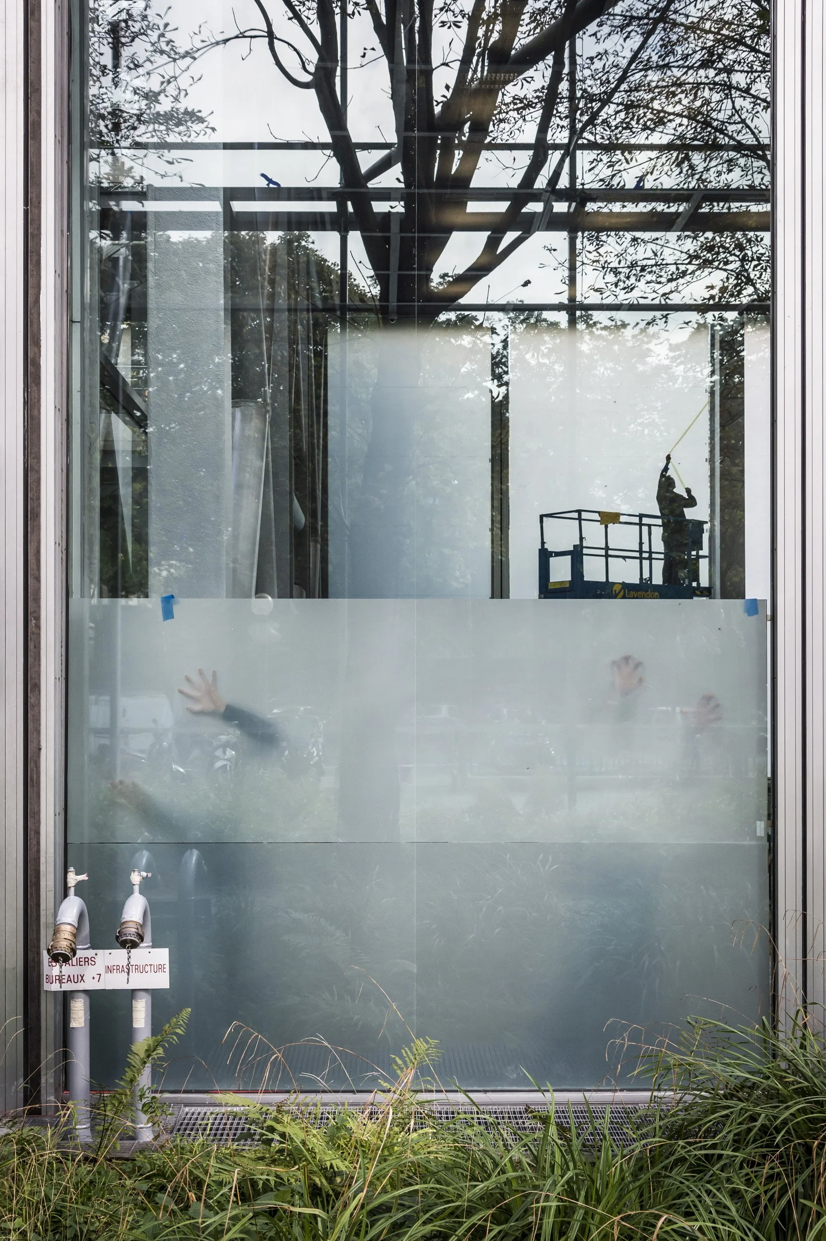 Exposition Les Habitants Musing on a Glass Box
