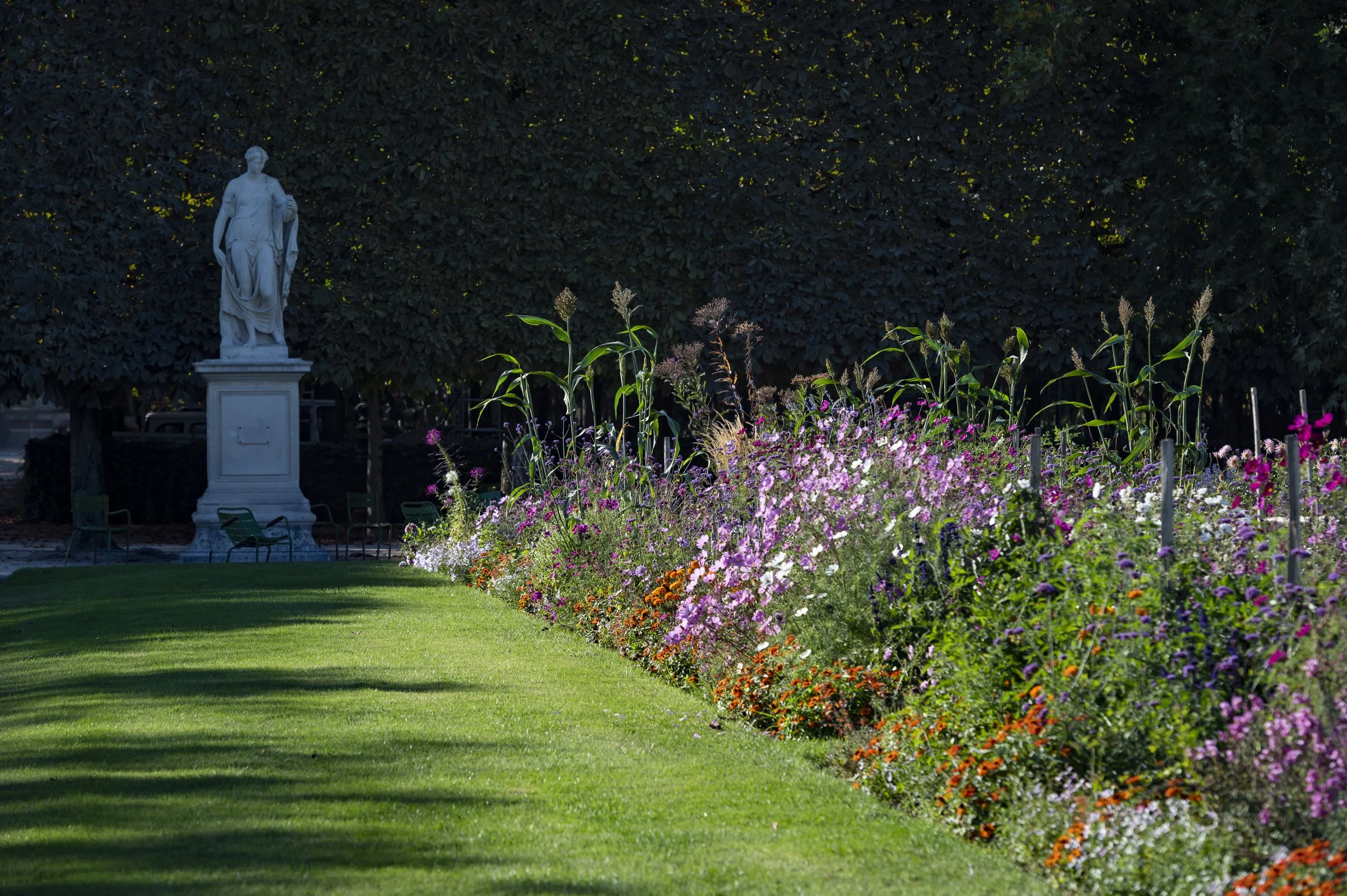 Louvre-Tuileries-Fleurissement-2019-028.jpg