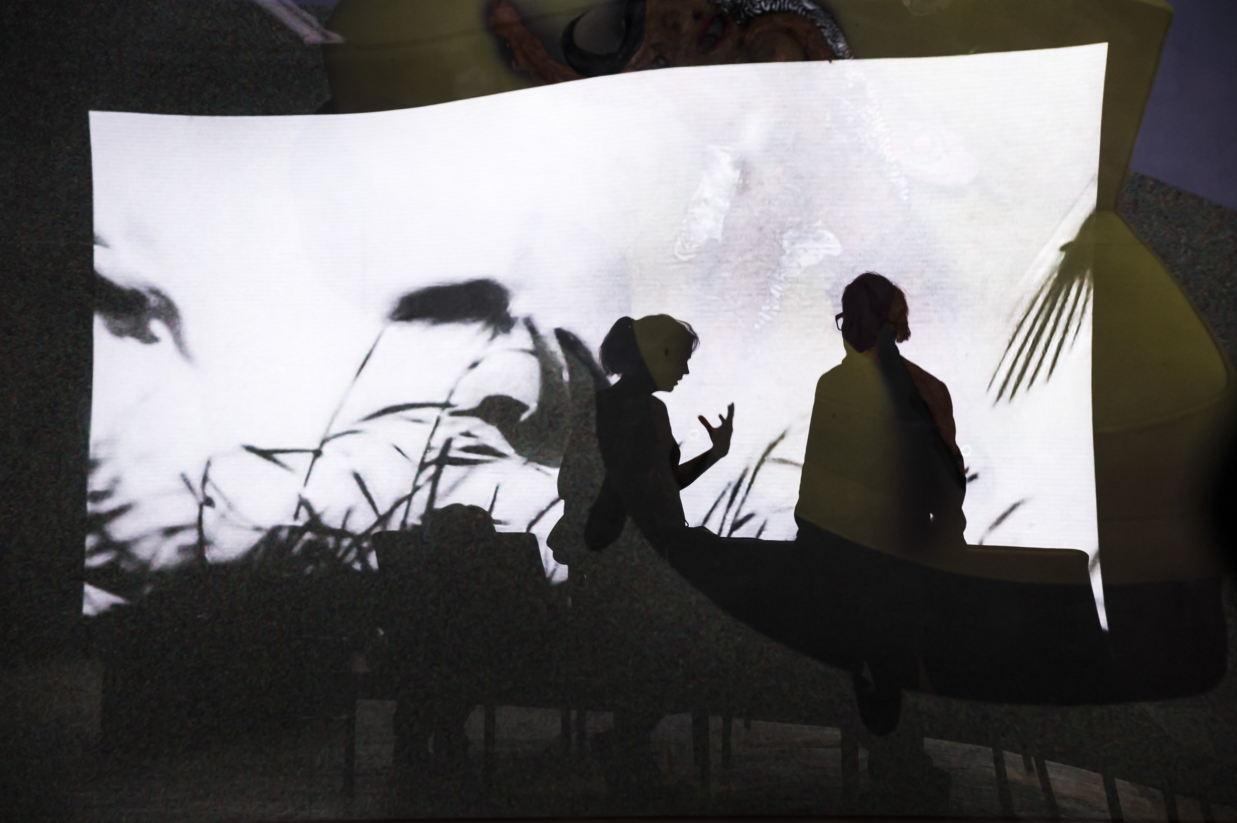 Montage exposition Les Habitants Film La Nature Artavazd Pelechian