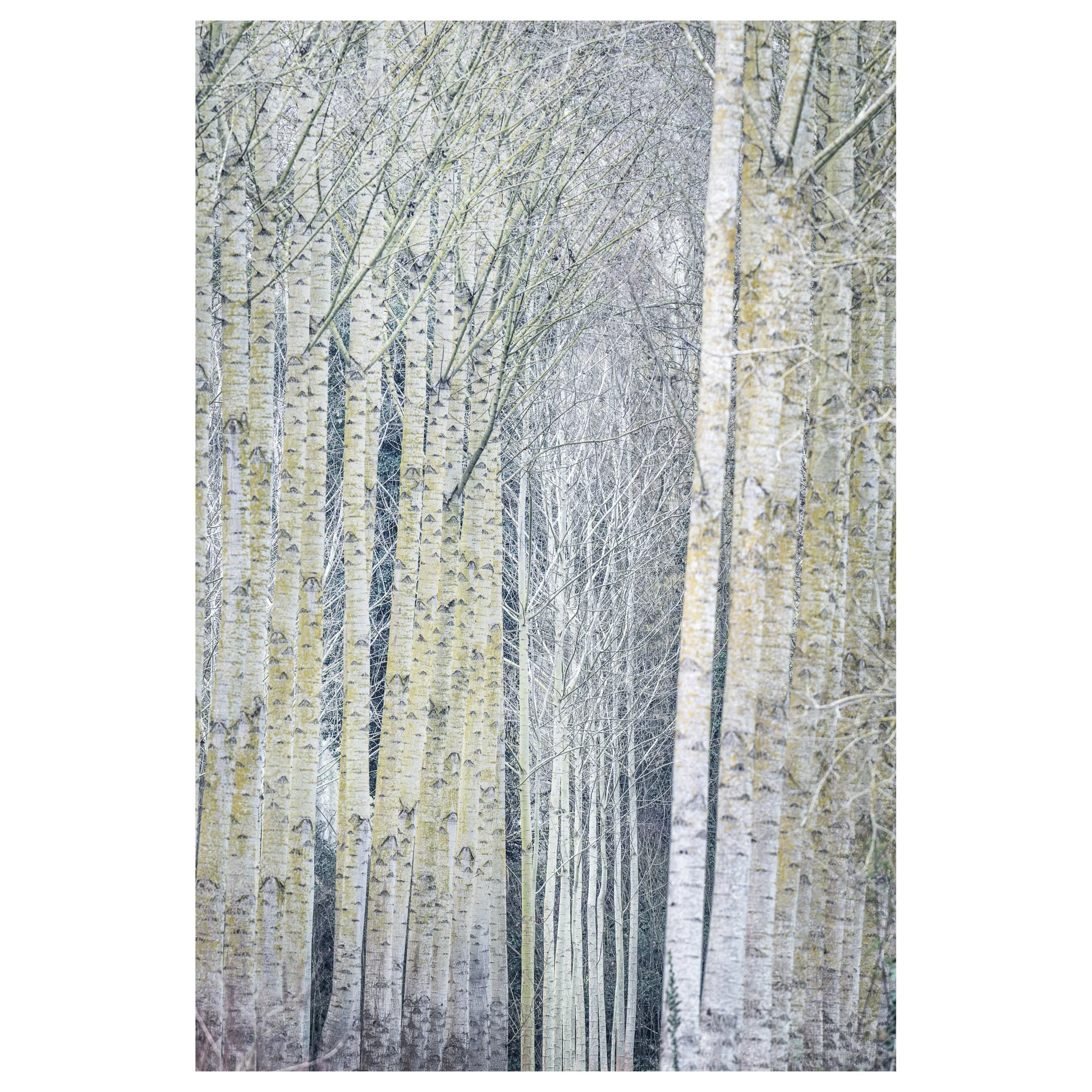_Z803147-Avec accentuation-Bruit.jpg