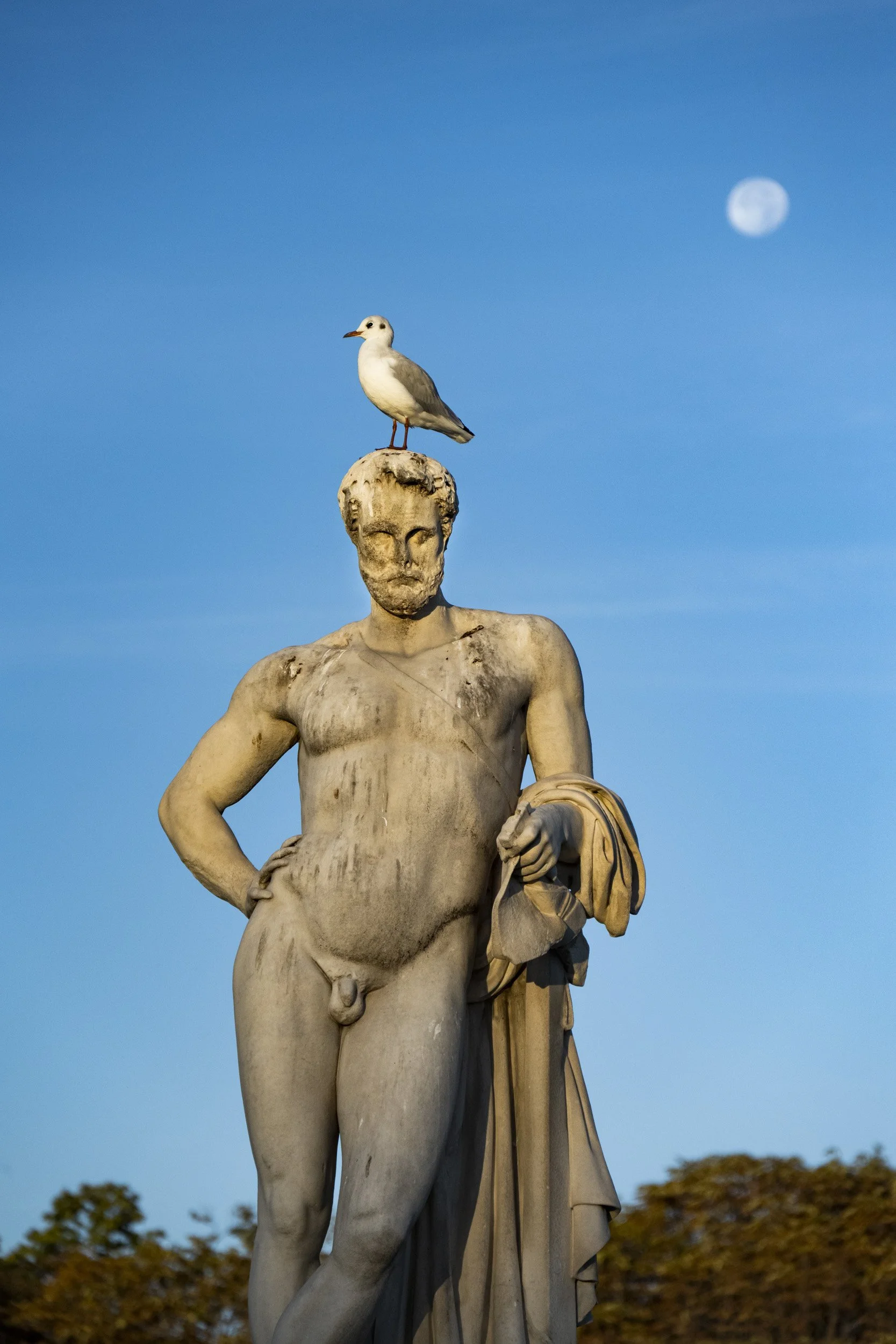 Louvre-OO-Fleurissement-Tuileries-2022-004.jpg