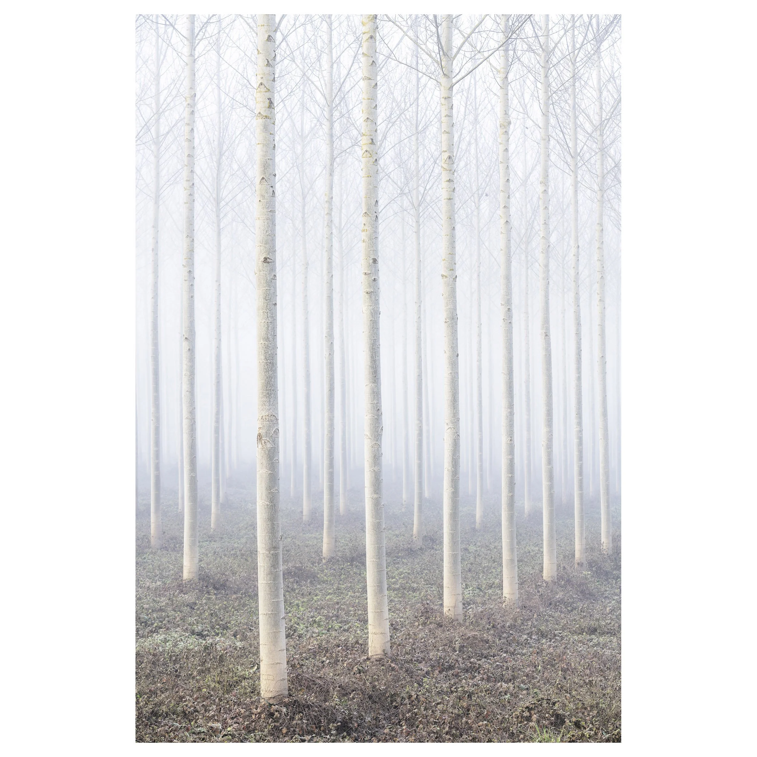 489-OO-BI 030-Avec accentuation-Bruit.jpg