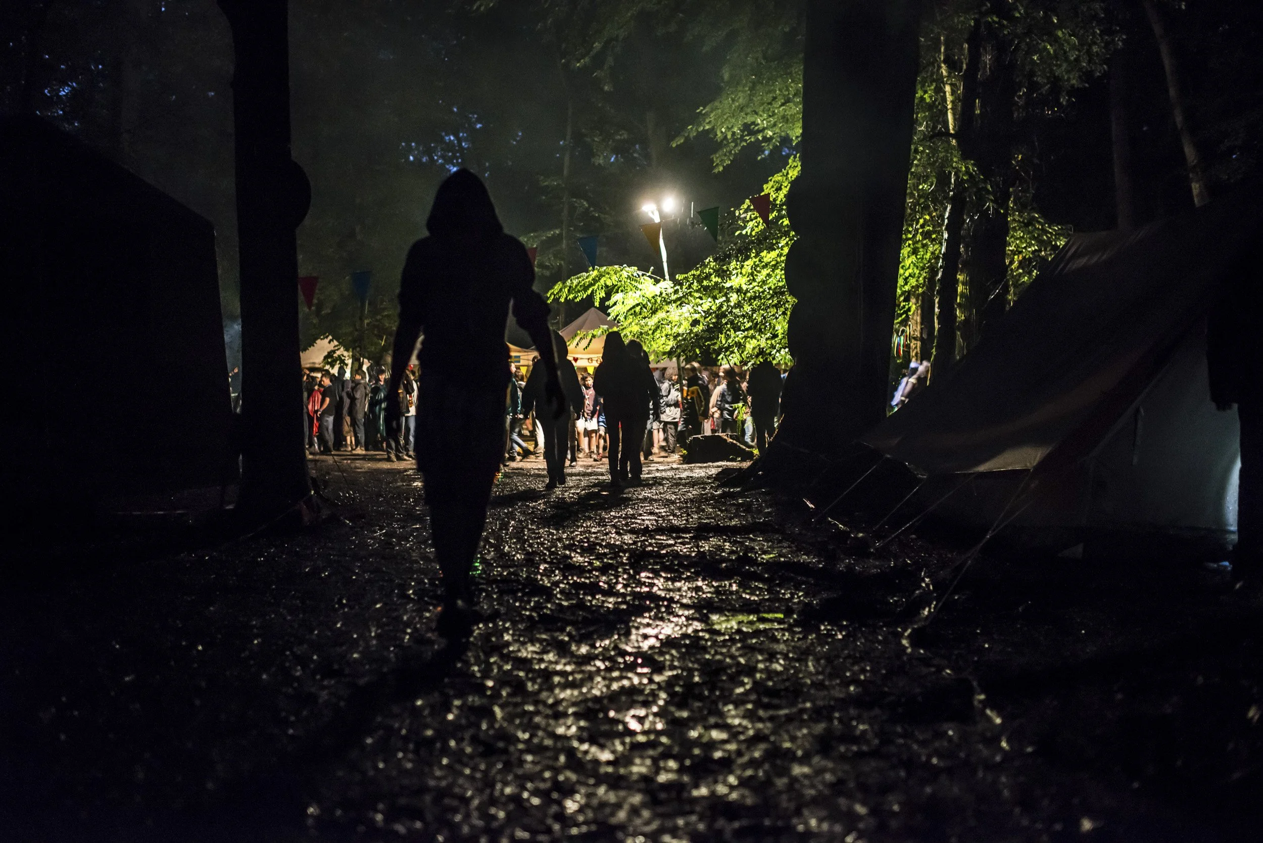 SGDF-VisTesReves-Jambville-2012-1176.jpg