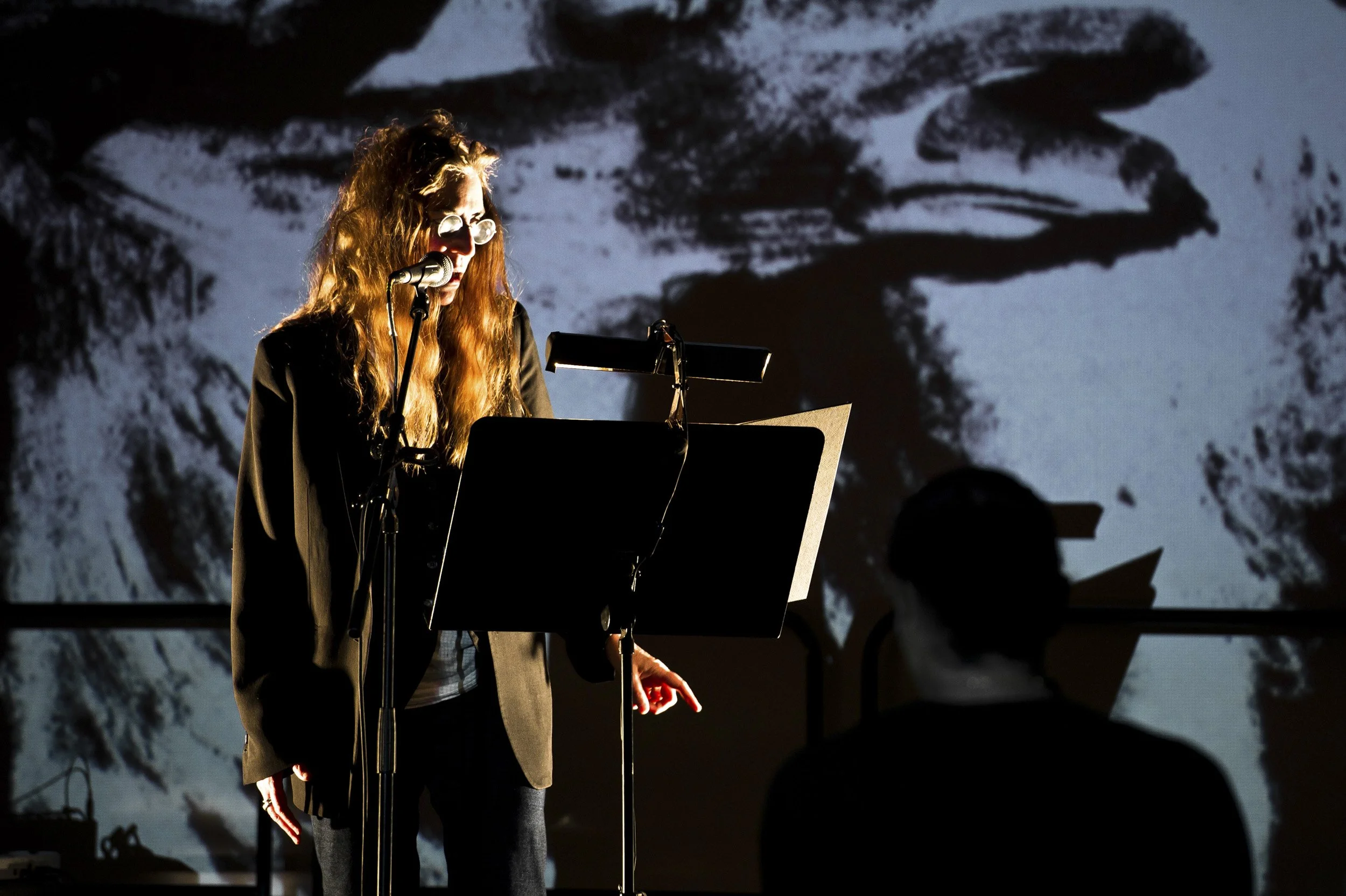 Concert Patti Smith