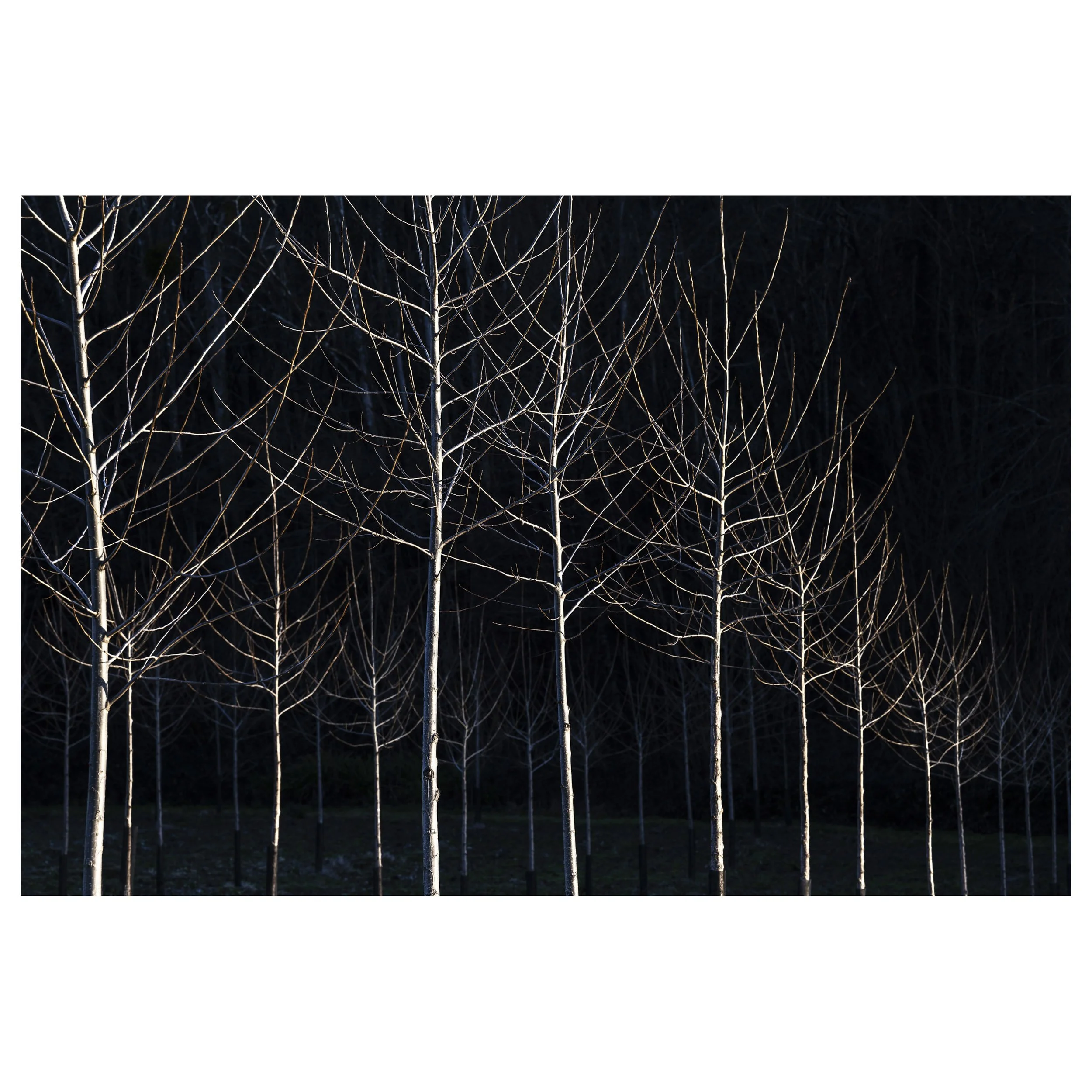 489-OO-BI 163-Avec accentuation-Bruit.jpg