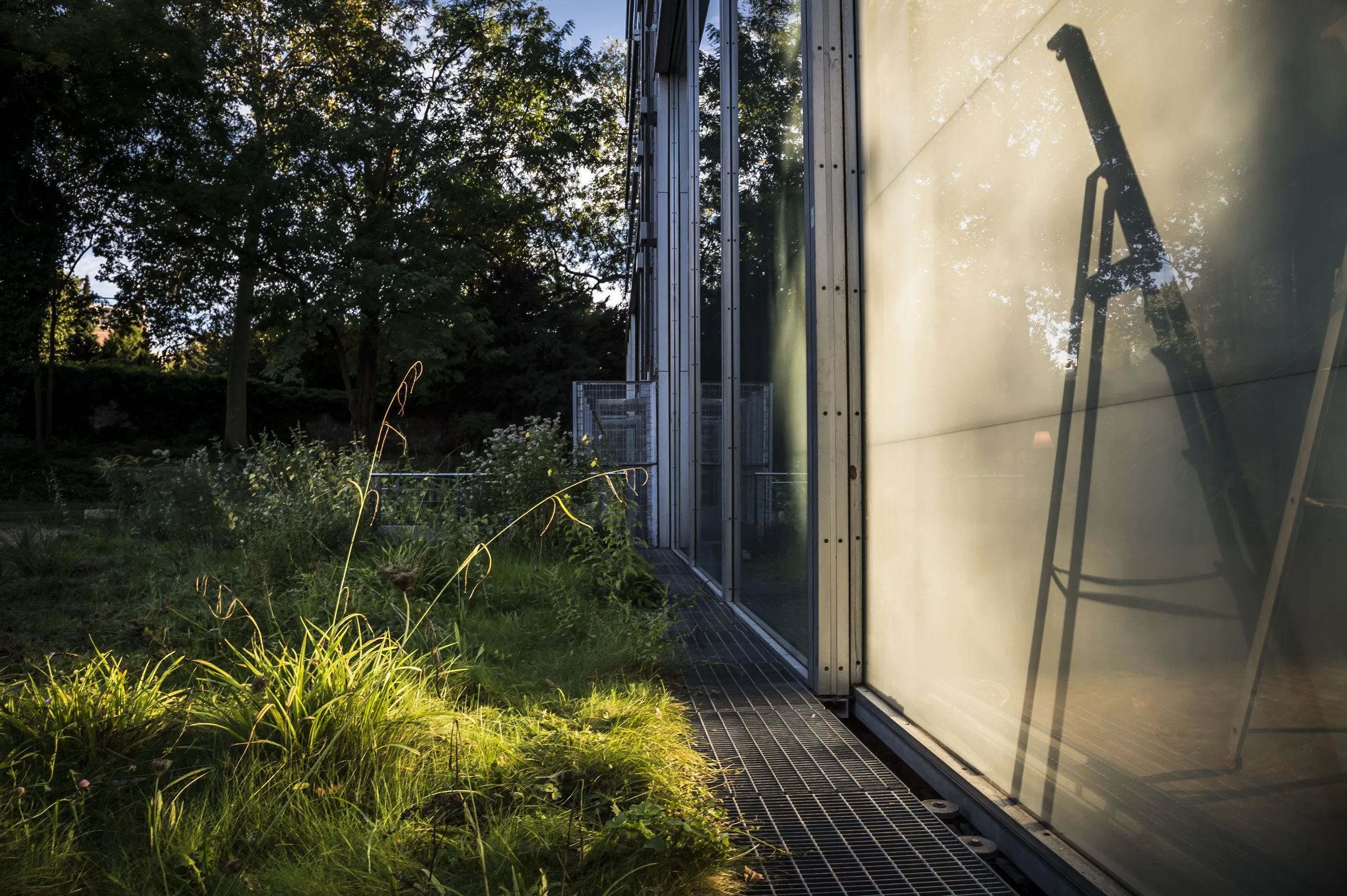 Montage exposition Les Habitants Musing on a Glass Box