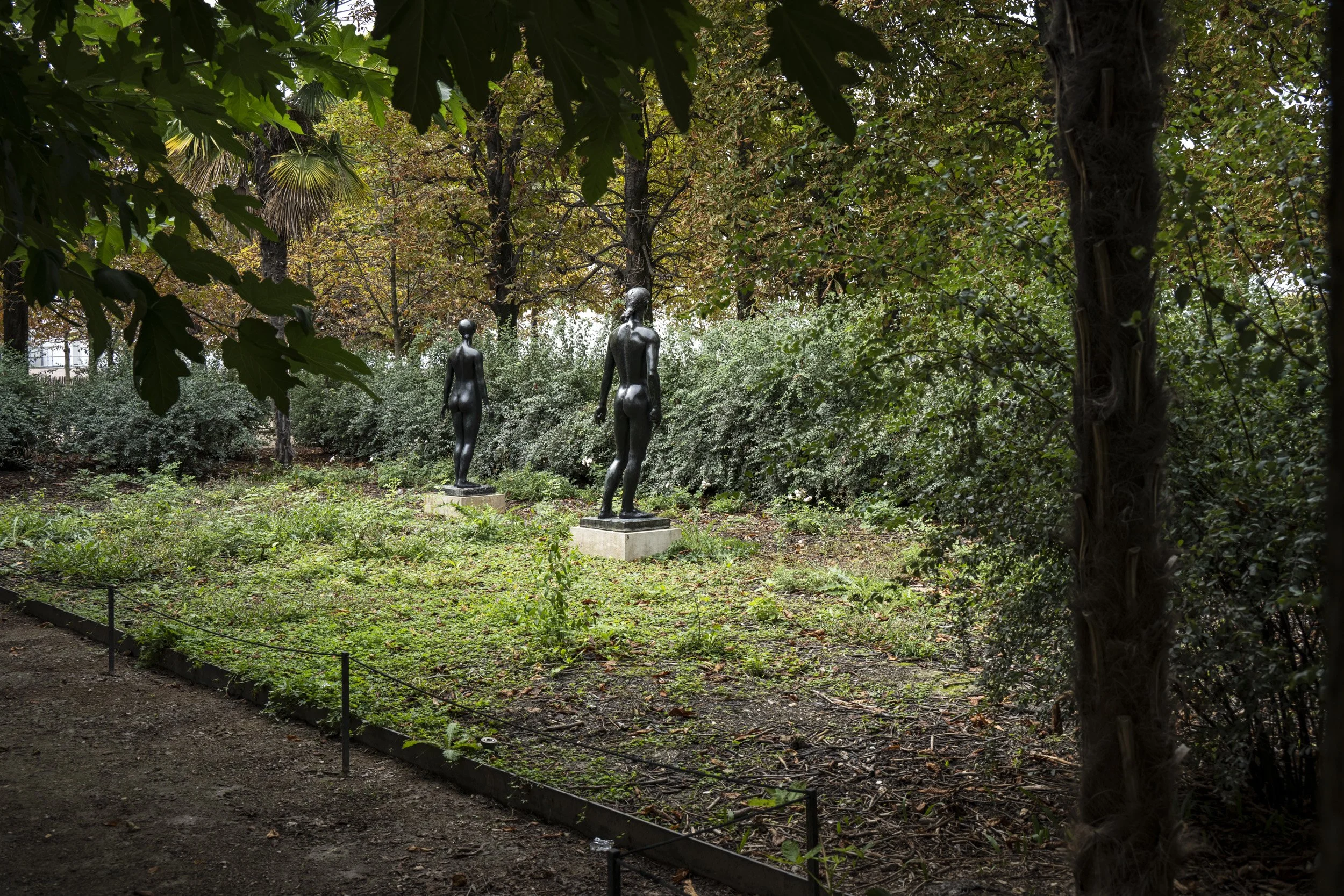 Louvre-OO-Fleurissement-Tuileries-2022-391.jpg