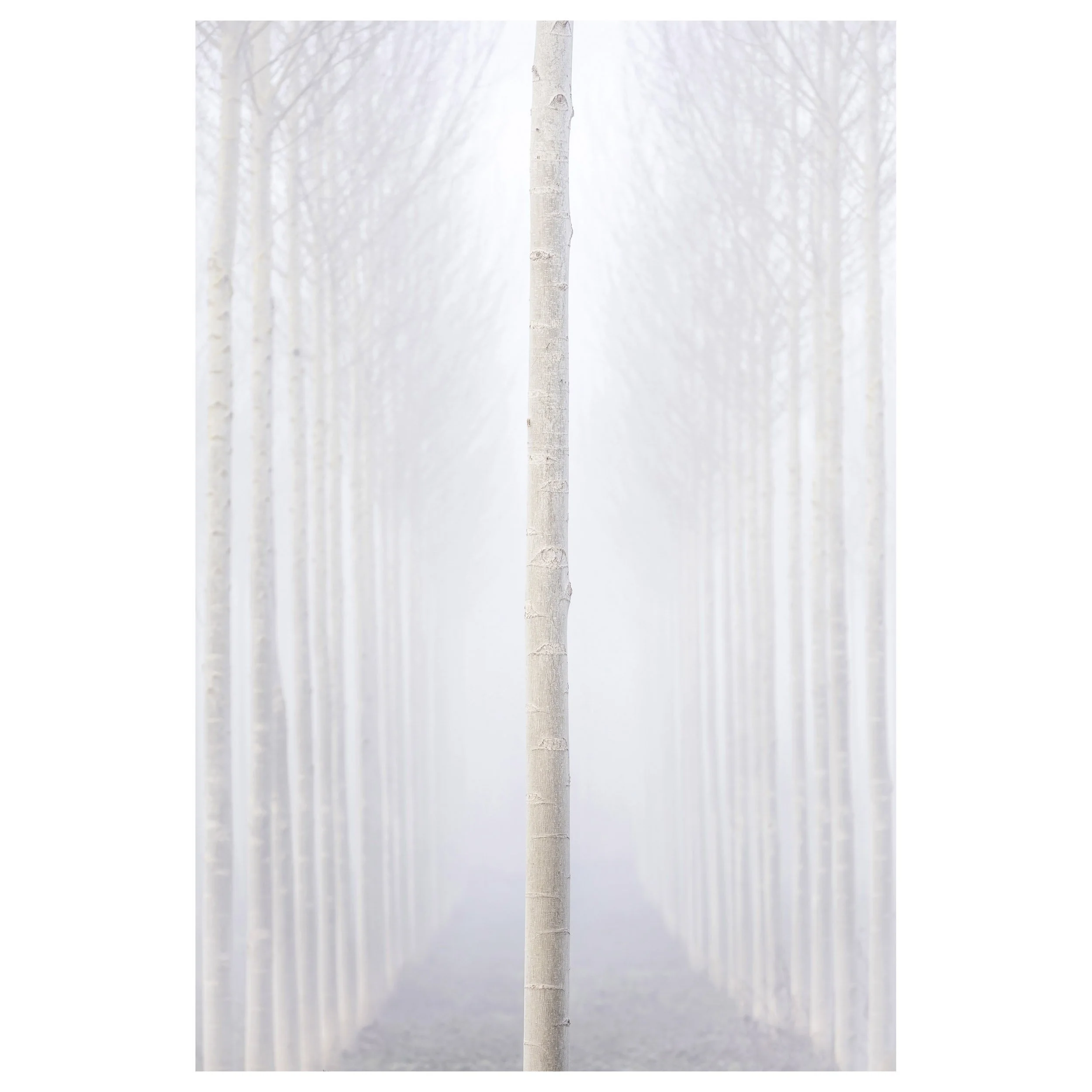 489-OO-BI 029-Avec accentuation-Bruit.jpg
