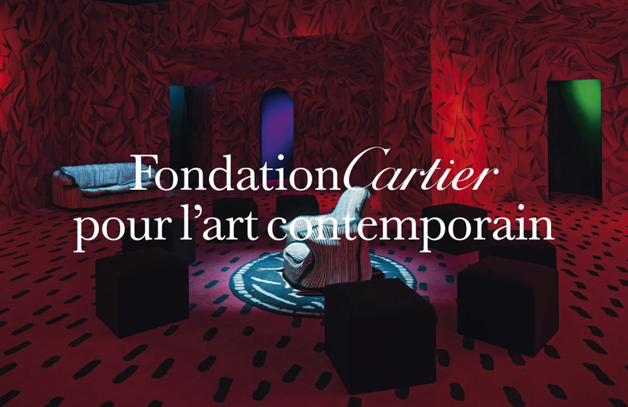 Carte adhérent Fondation Cartier pour l'art contemporain
