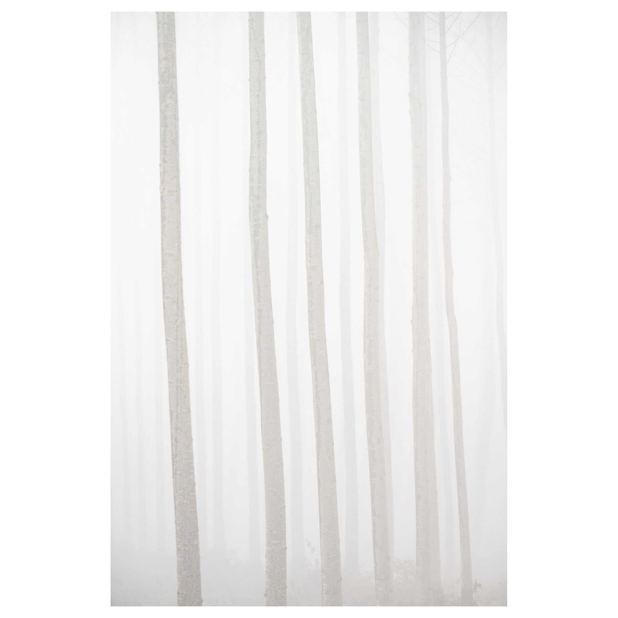 489-OO-BI 252-Avec accentuation-Bruit.jpg