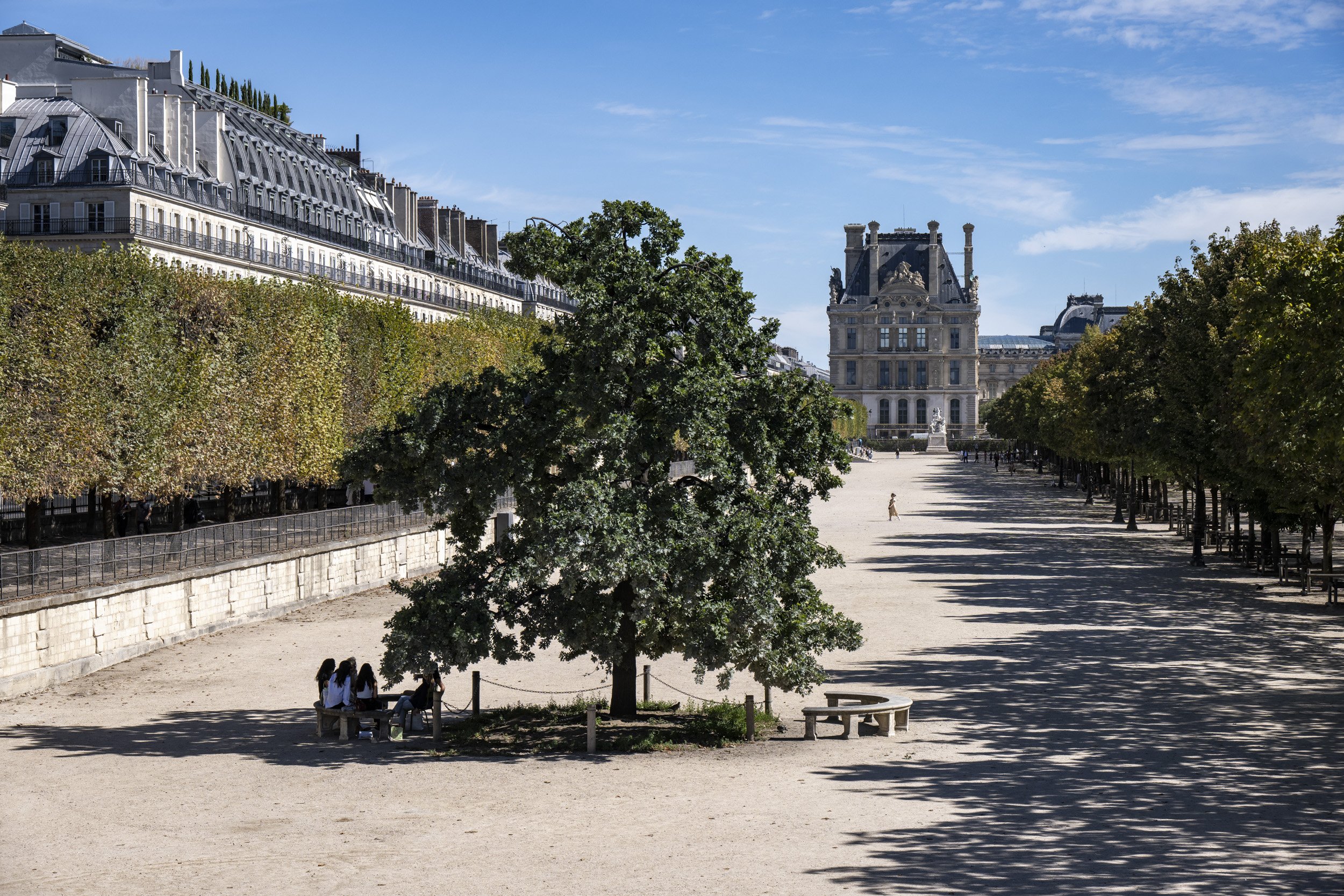 Louvre-OO-Fleurissement-Tuileries-2022-239.jpg