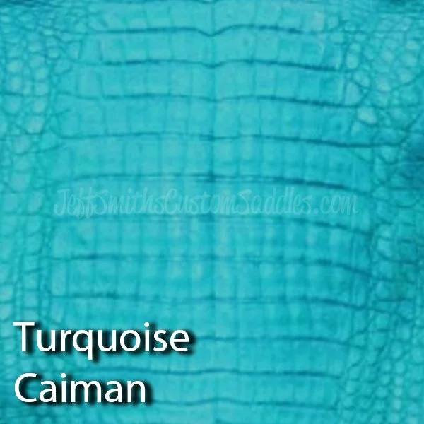Caiman-Seat-Cover_Turquoise2.jpg