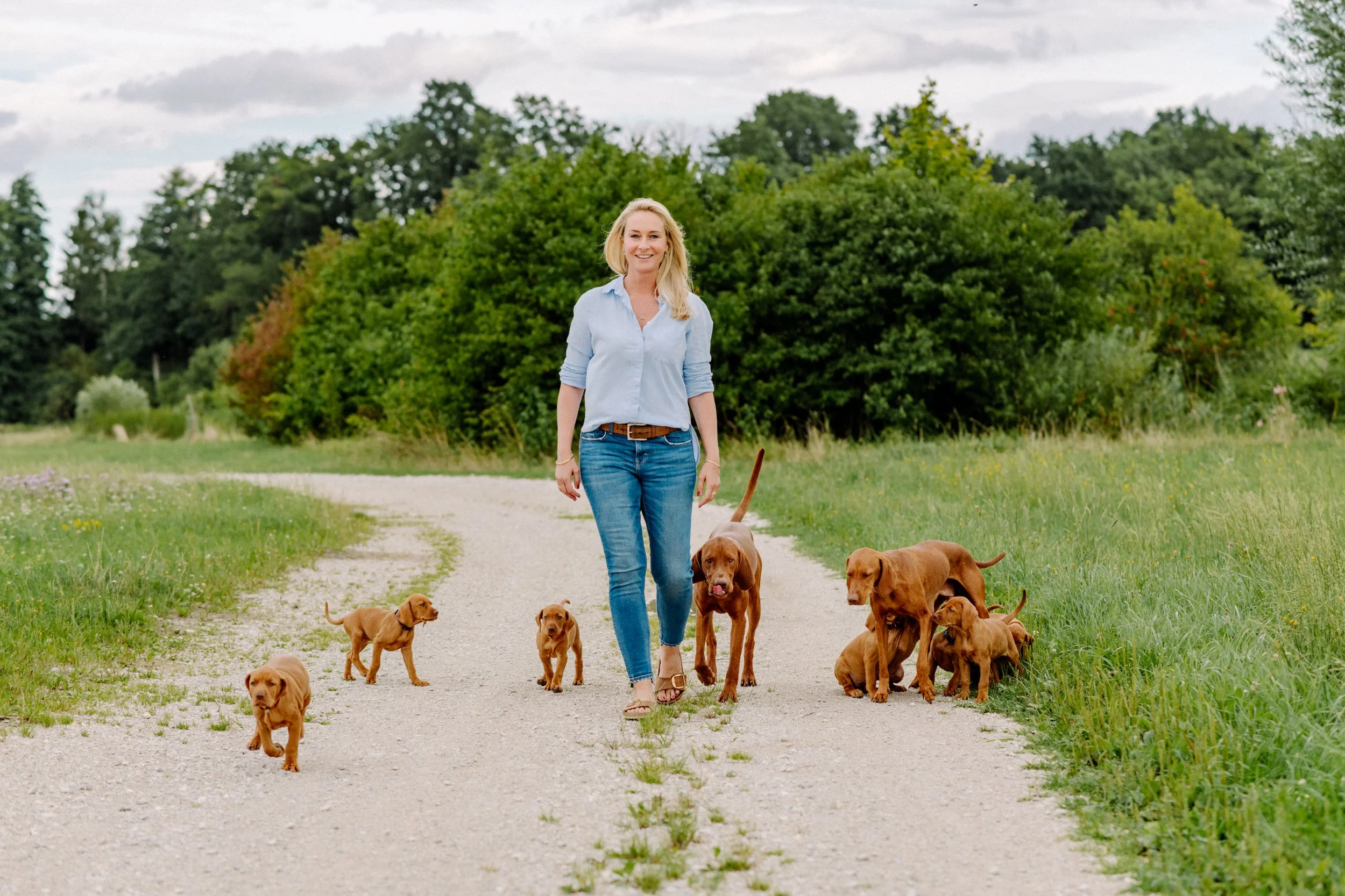 Eine Frau mit blonden Haaren in blauer Bluse und Jeans, die mit einem Rudel Welpen auf einem unbefestigten Weg in einer grünen, bewaldeten Gegend spazieren geht.