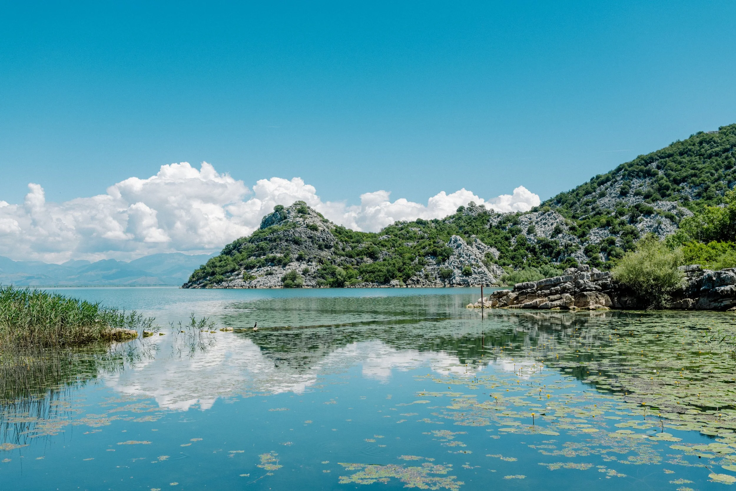 Nadja(Montenegro)(Juni2023)-097.jpg