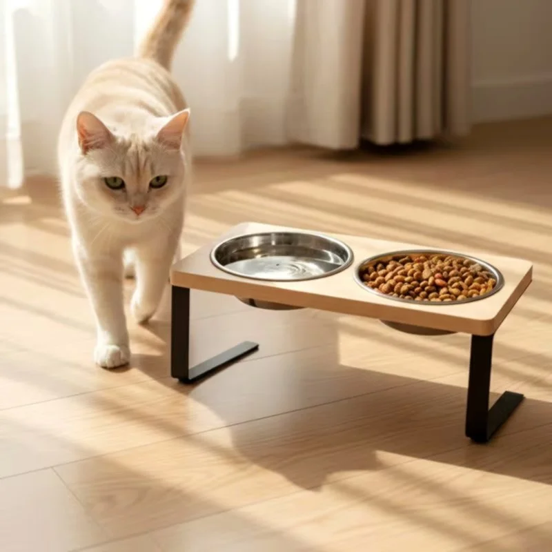lifestyle picture of cat approaching lunava elevate dual raised pet feeder