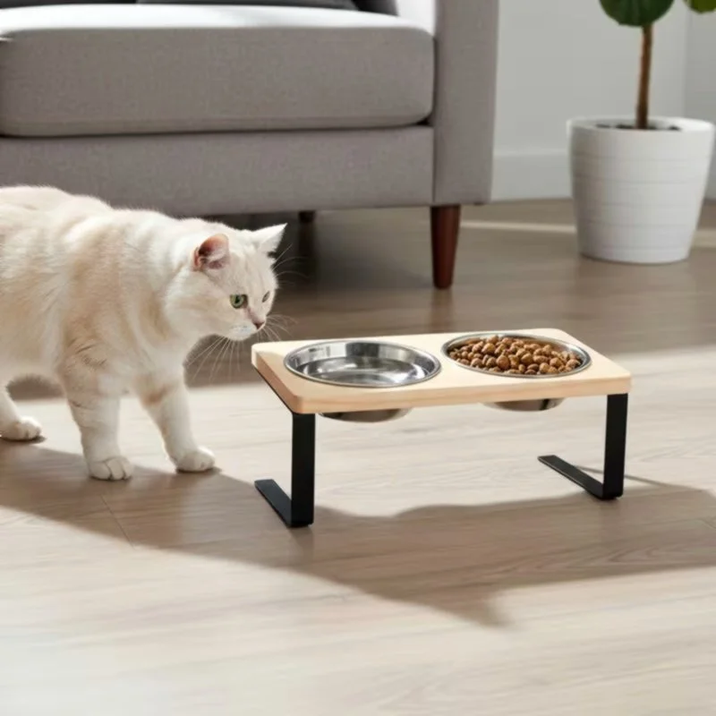 lifestyle picture of cat approaching lunava elevate dual raised pet feeder