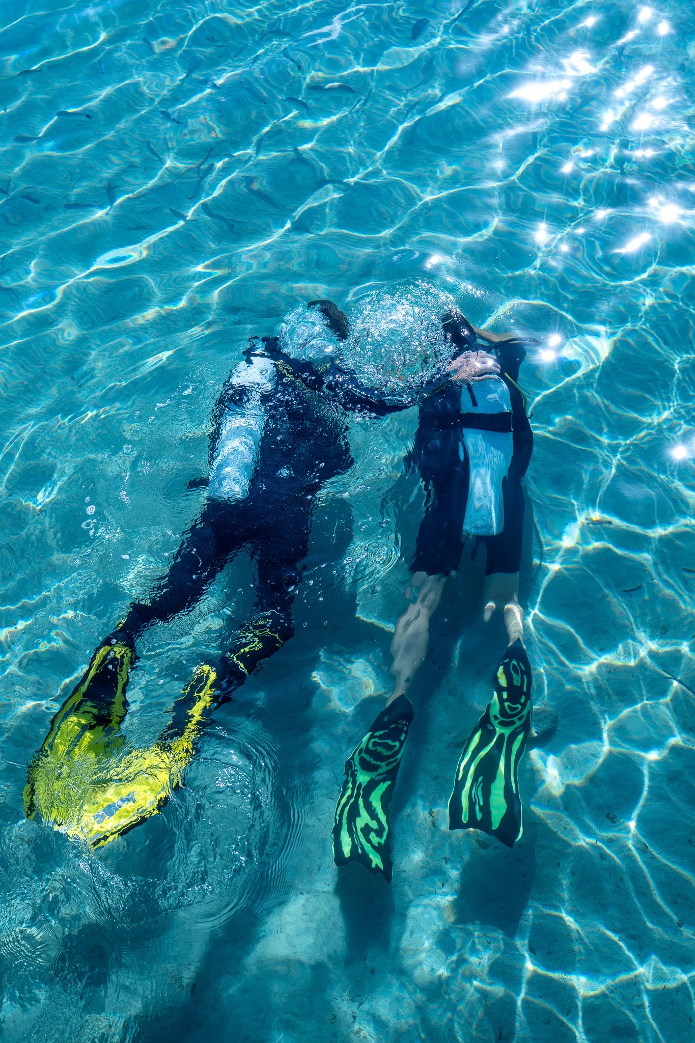 Two young boys in swimming gear, floating face down in a clear blue swimming pool.