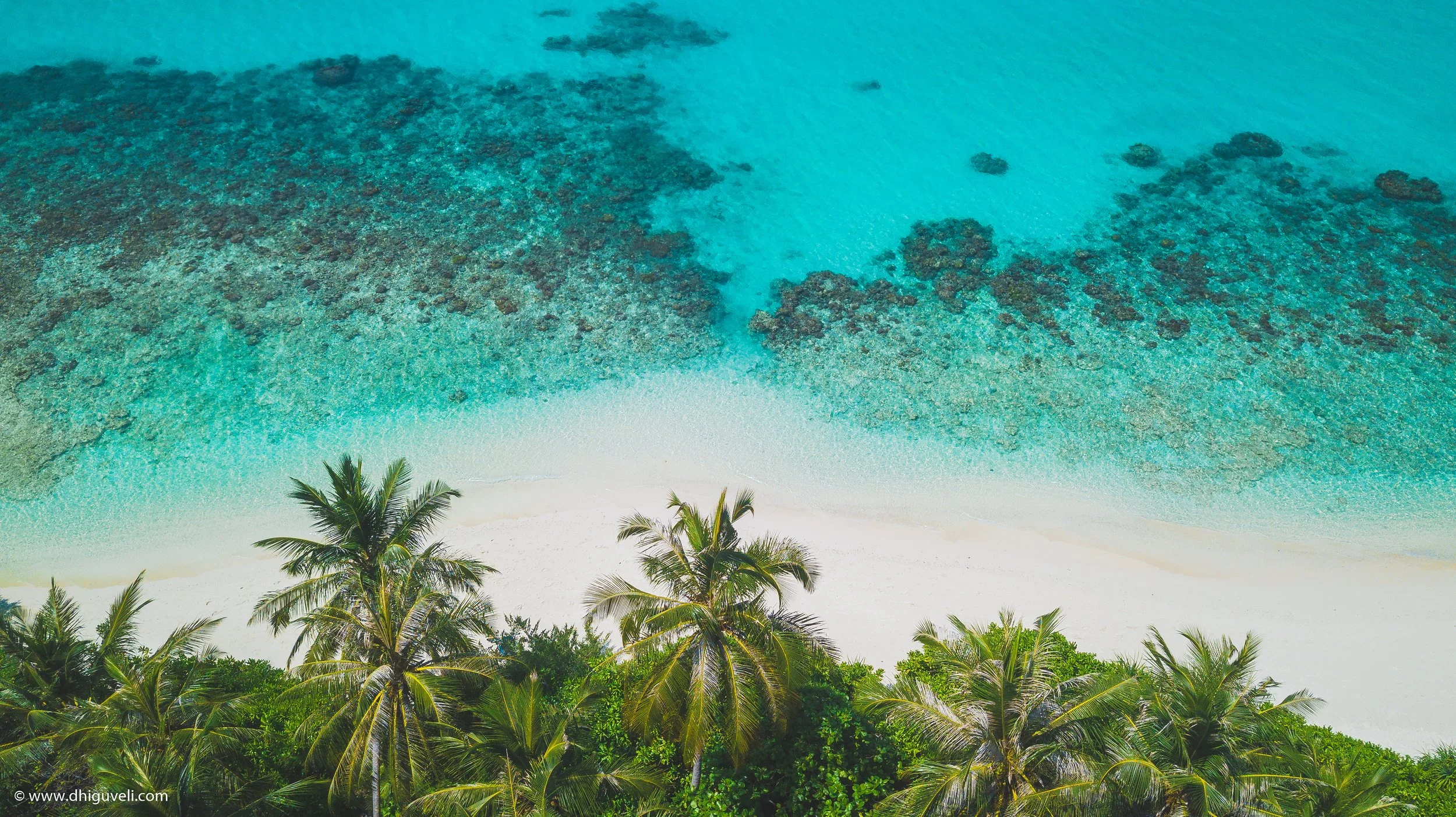 Aerial view of a tropical beach with white sand, turquoise water, coral reefs, and palm trees.