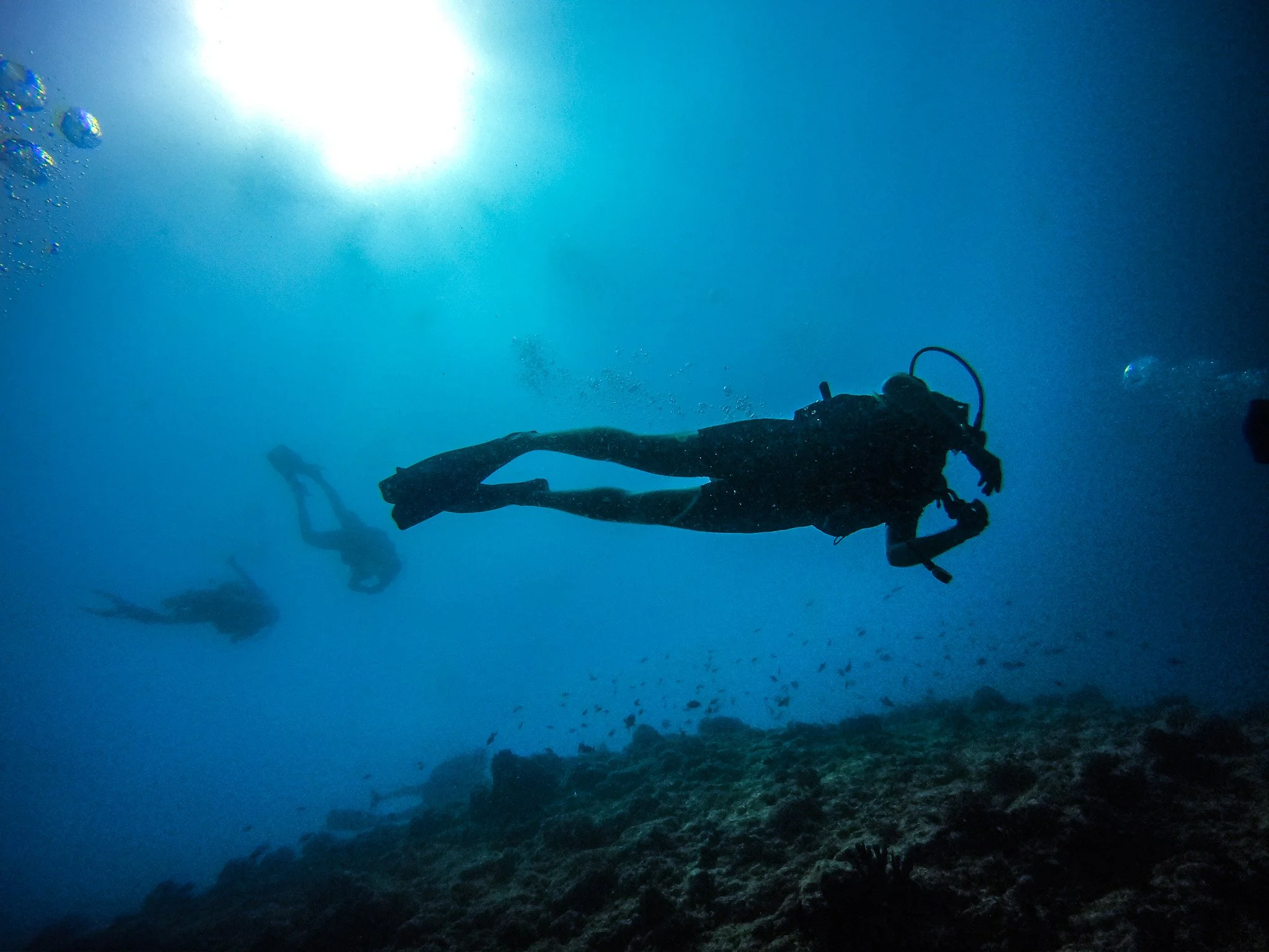 Silhouettes of scuba divers swimming underwater near the ocean floor with sunlight above.