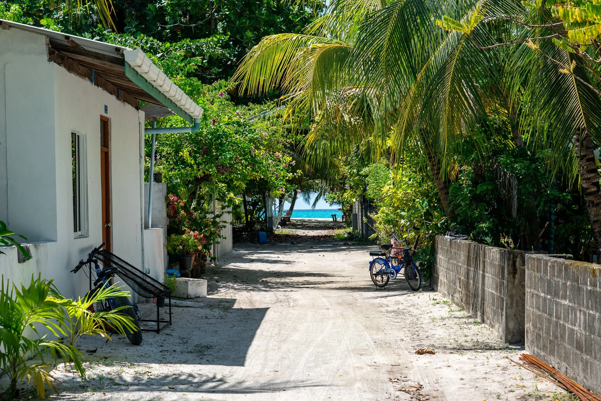 A sandy pathway leading to a beach, flanked by tropical trees and bushes, with a bicycle parked on the right and a white house on the left.