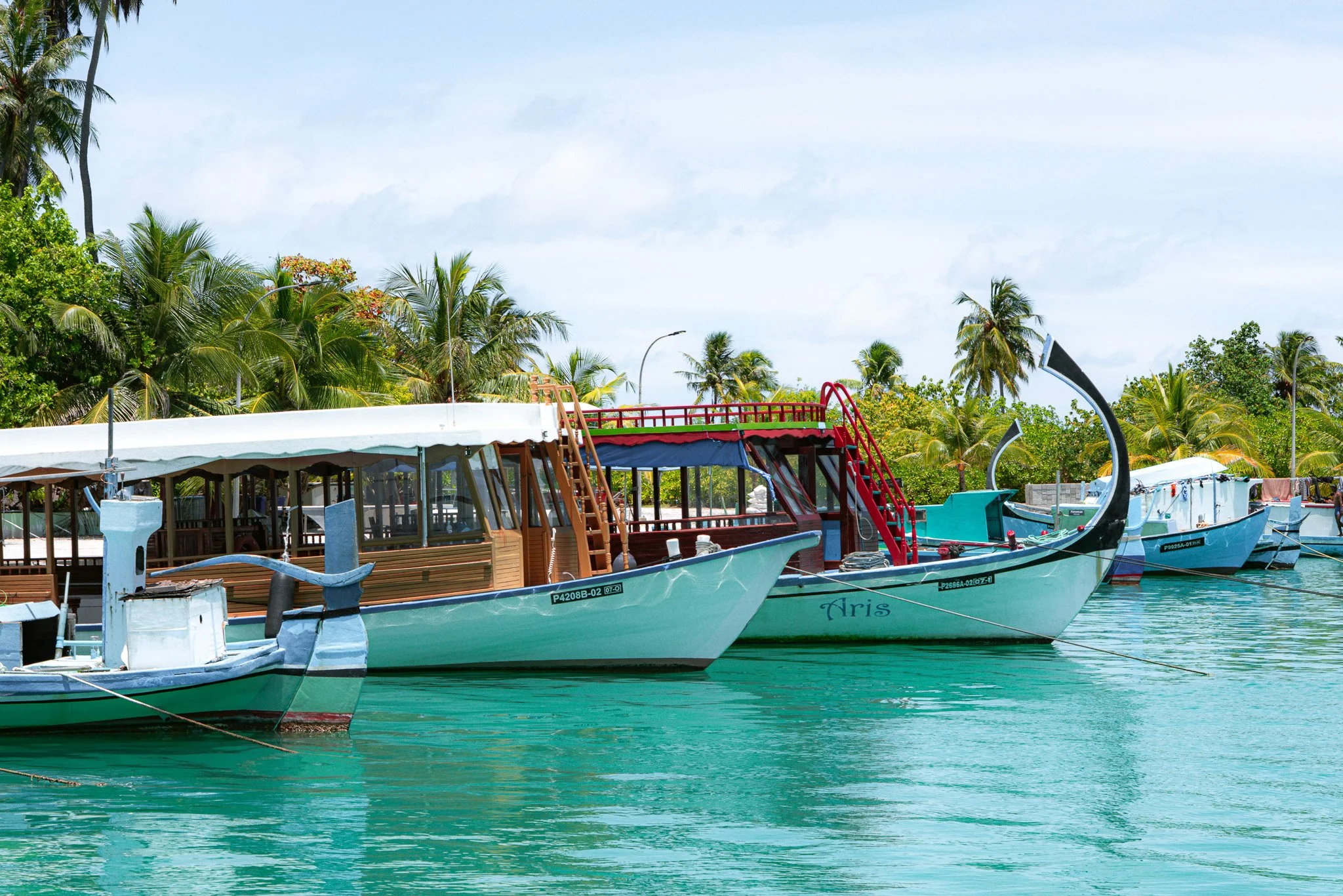 Multiple boats docked by a tropical shoreline with palm trees and lush greenery in the background, under a partly cloudy sky.