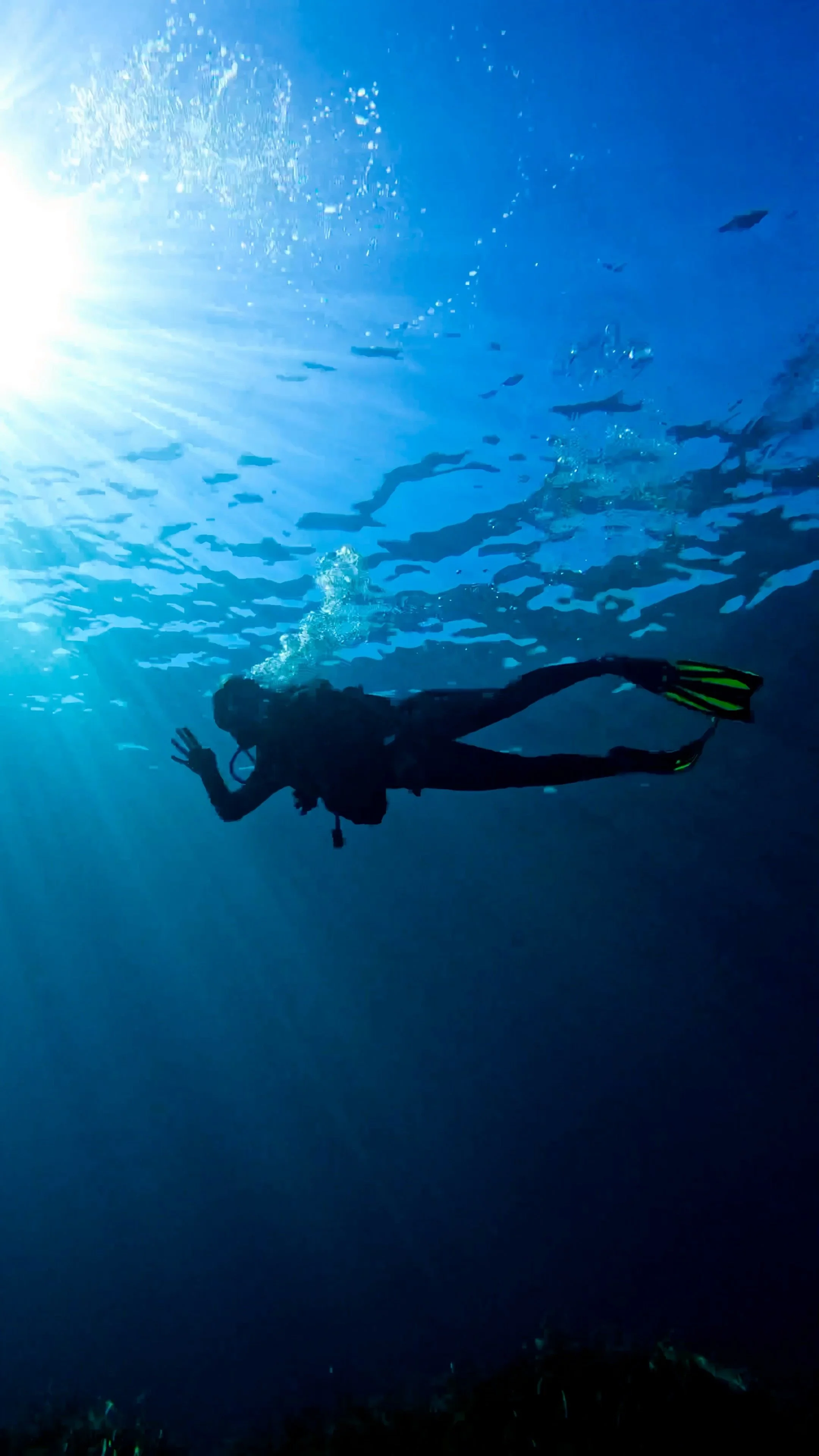 A person scuba diving underwater with sunlight shining from above, wearing a wetsuit and fins, raising a hand