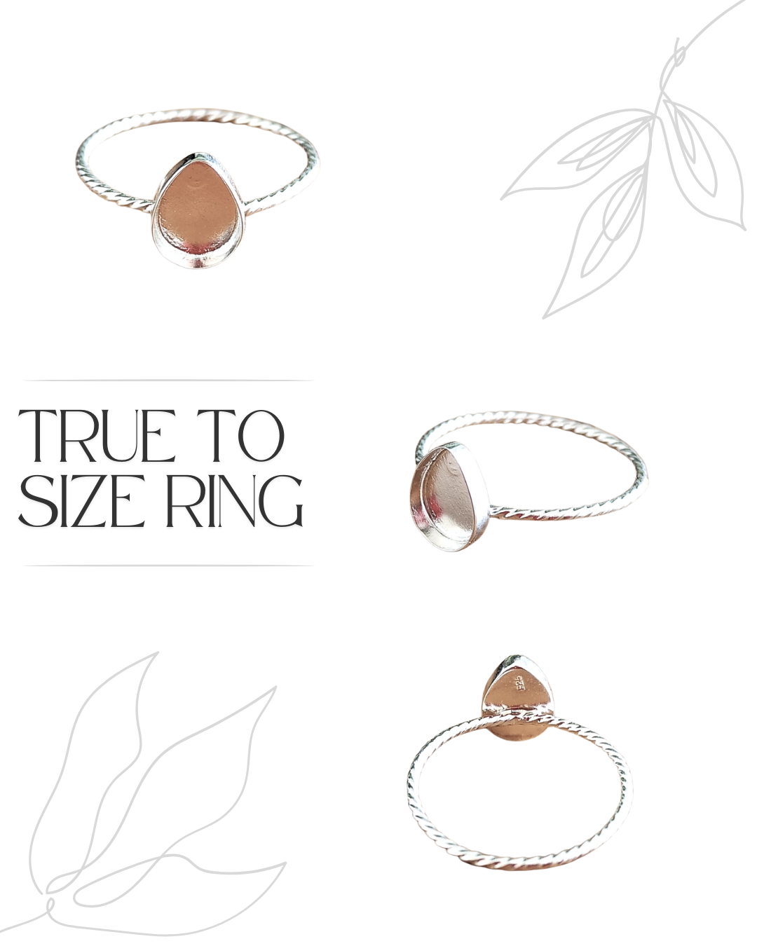 Pedants and Rings.png