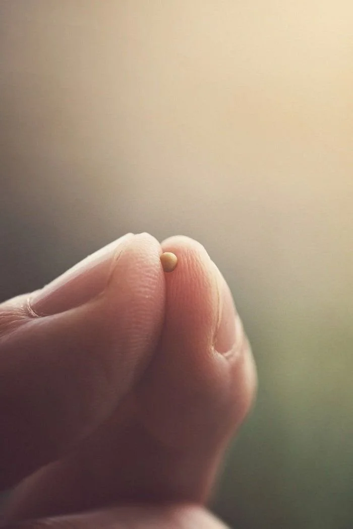 What If We Prepared to Have All of Our Needs Met?