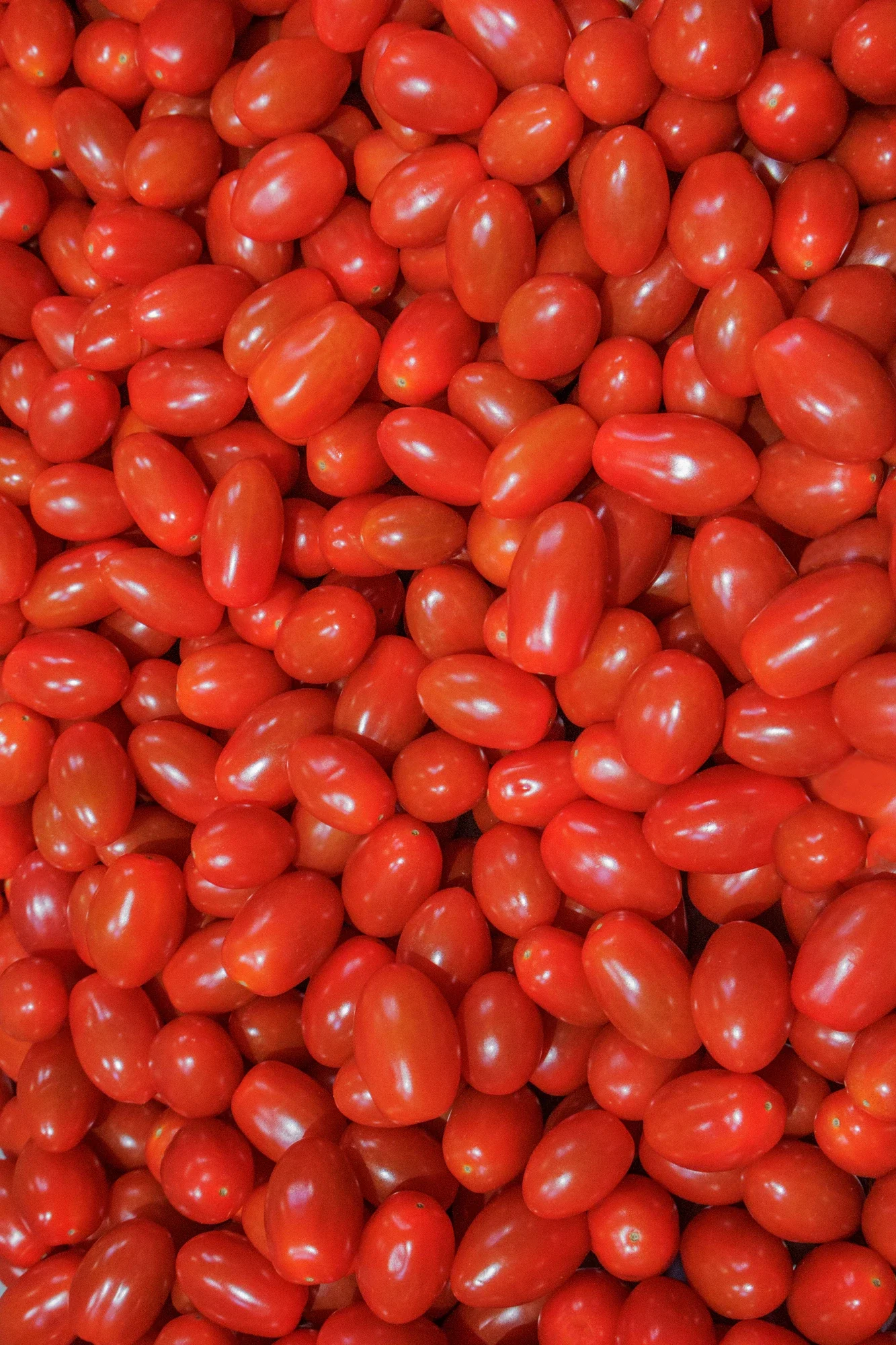 Une multitude de petites tomates ovoïdes rouges empilées.