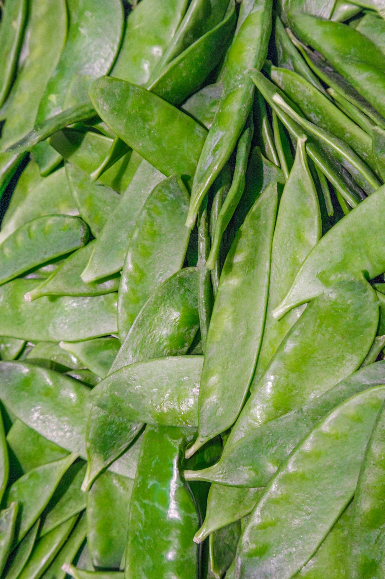 Feuilles vertes de haricots frais.