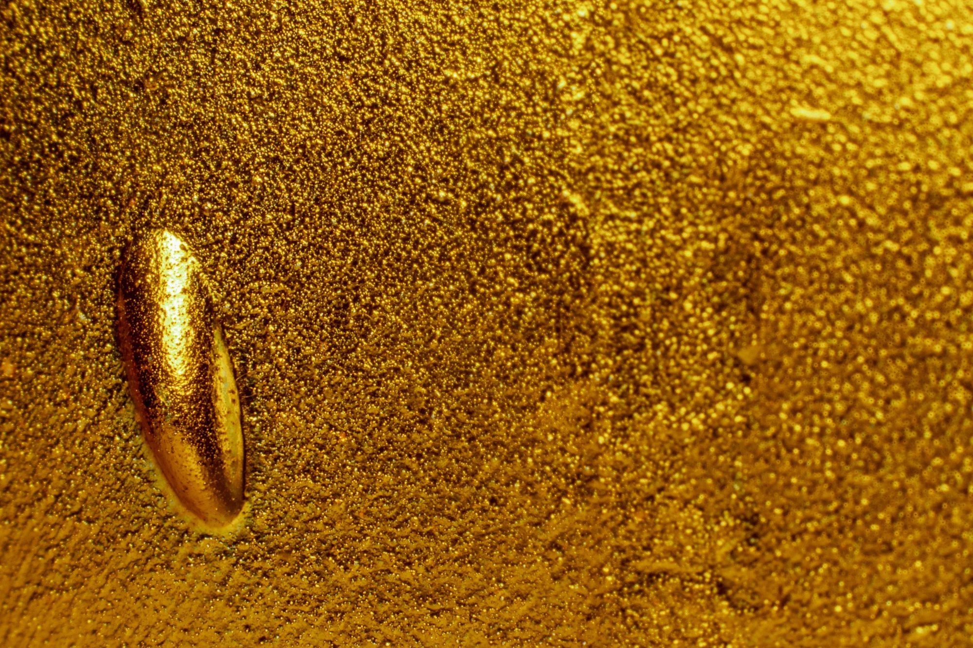 Gros plan d'une surface dorée avec un motif de grains de sable fin et une tête de vis dorée enfoncée dans cette surface.