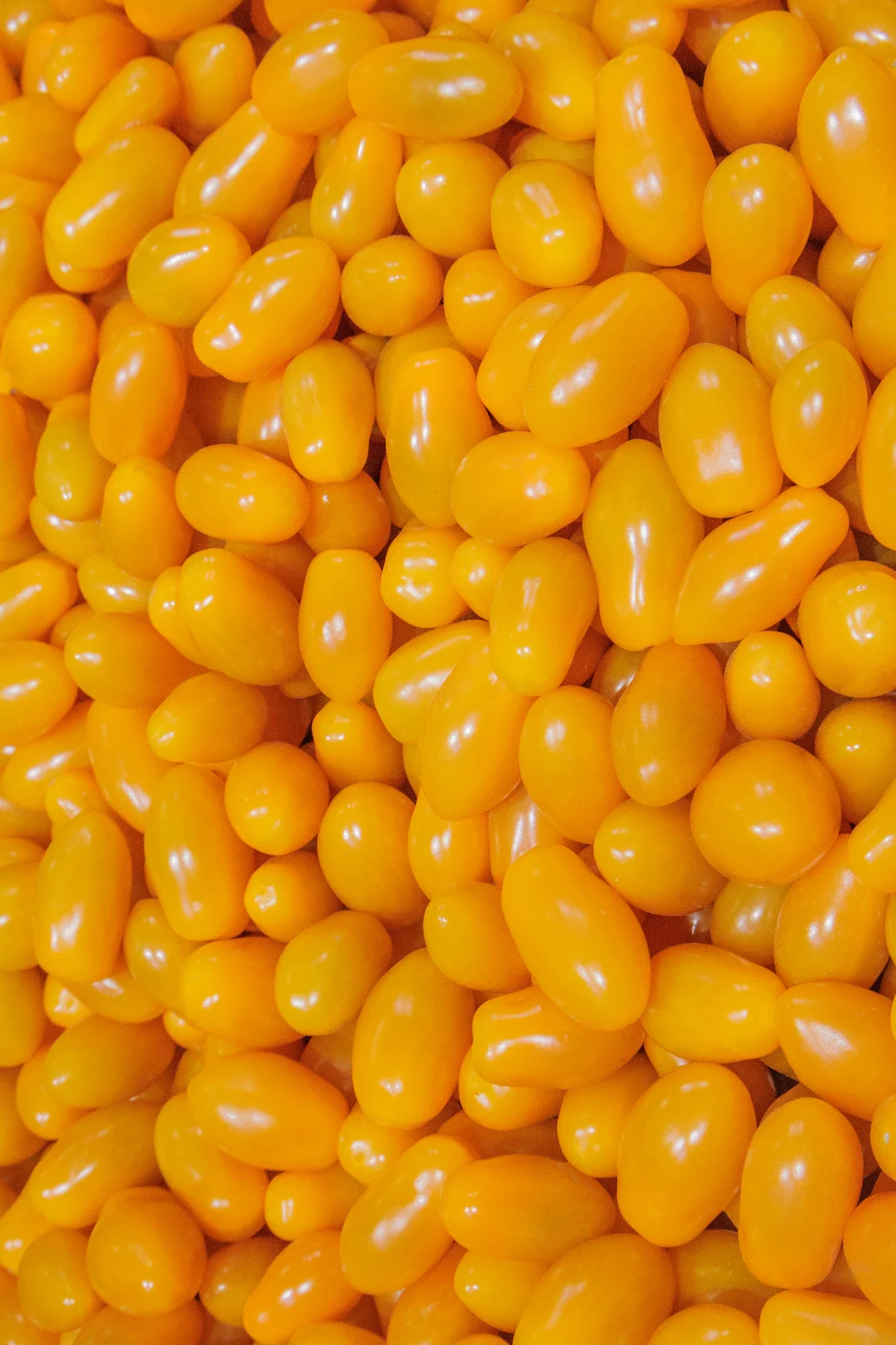 Grains de maïs jaunes.