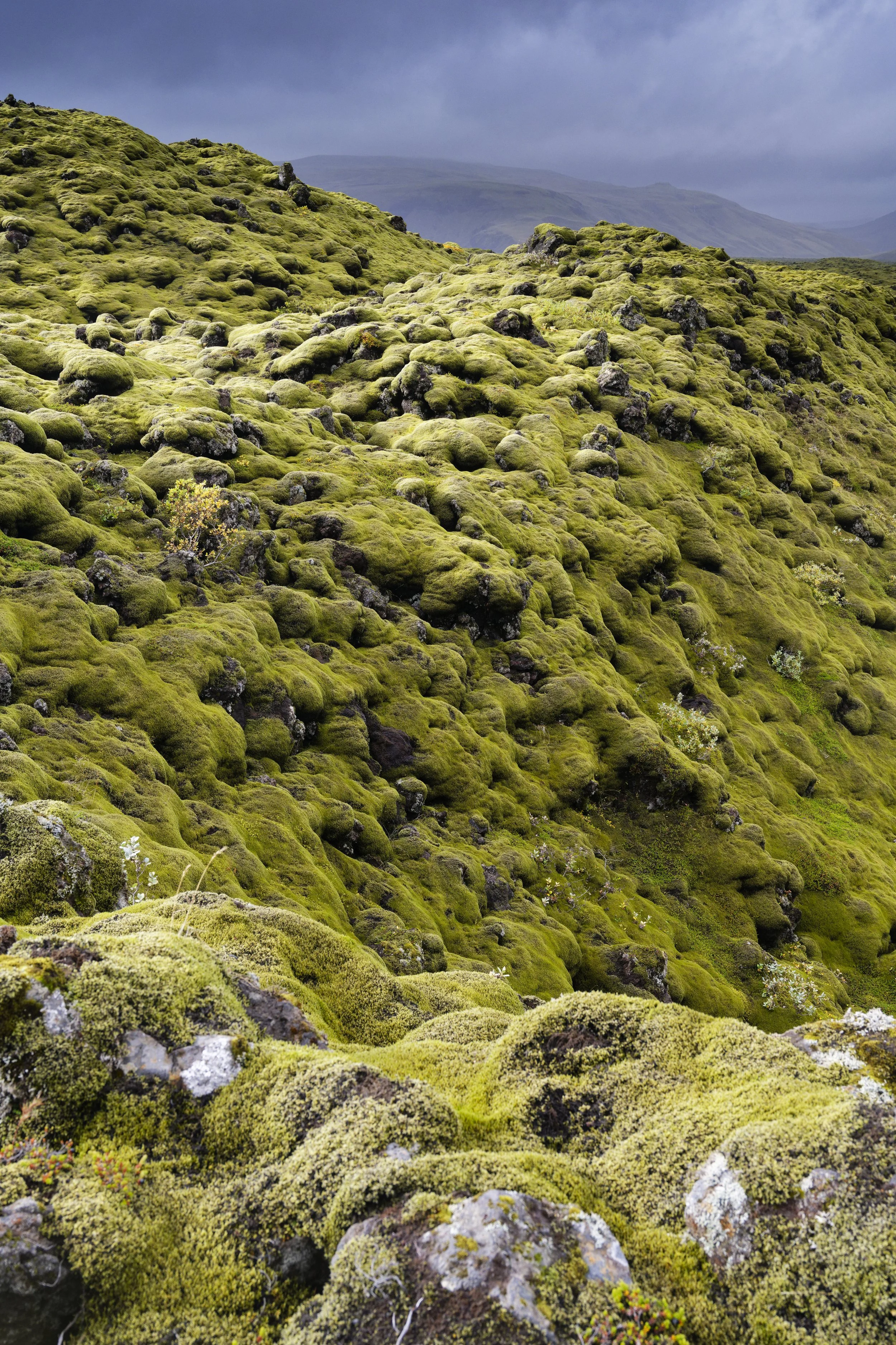 A landscape of rolling moss-covered hills with dark rocks scattered throughout, under a cloudy sky.