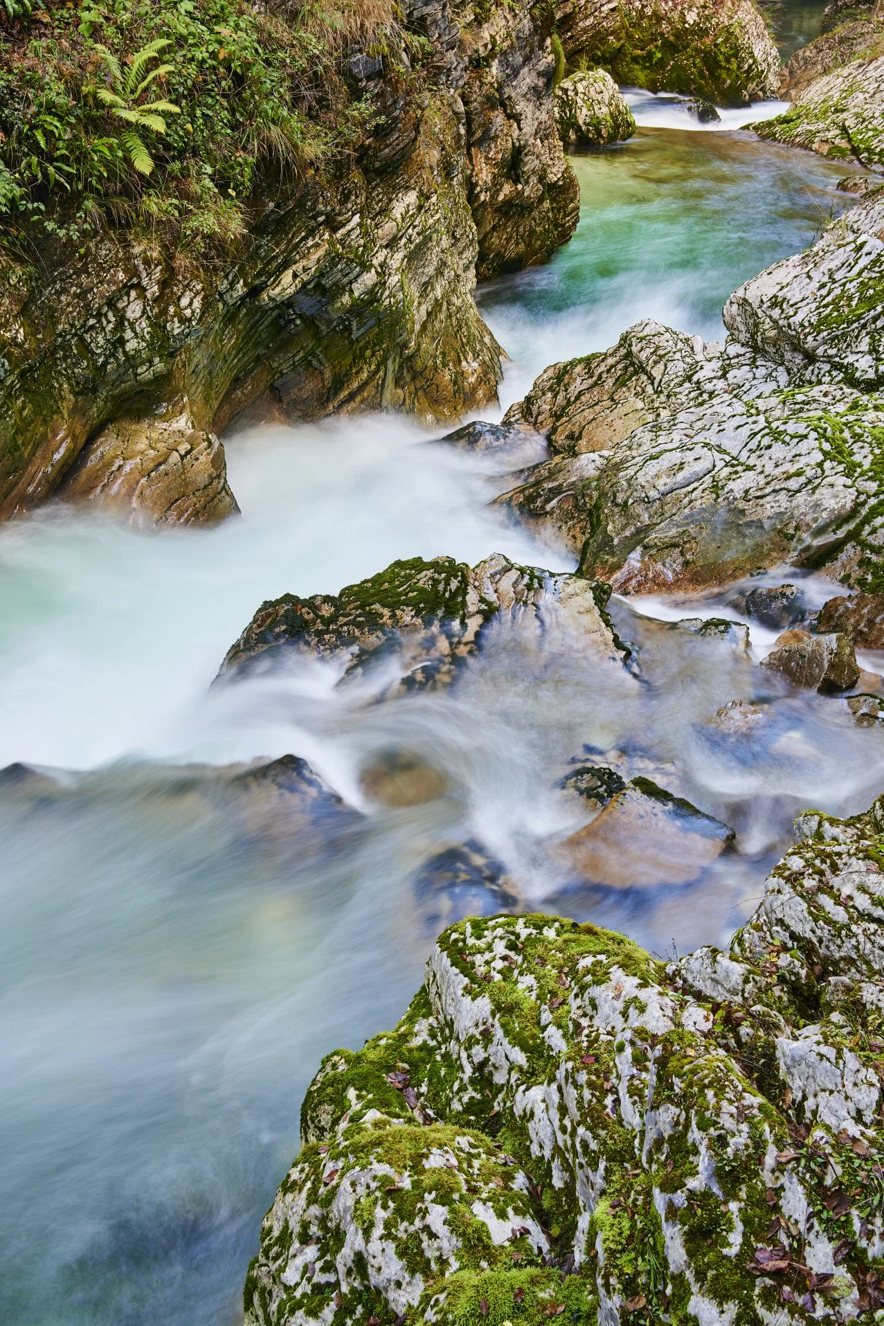 Stream flowing through moss-covered rocks and boulders, surrounded by greenery and ferns.