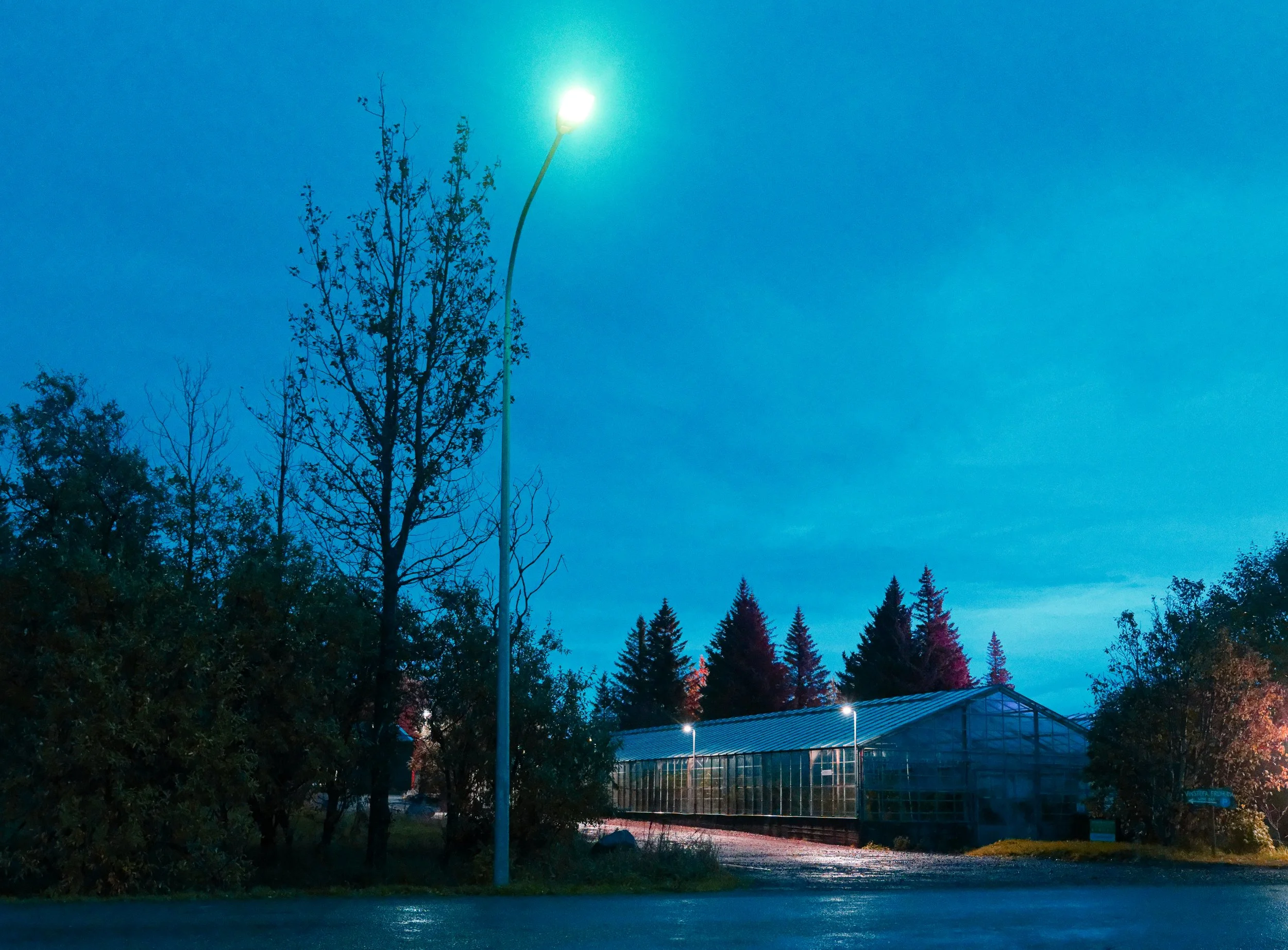 Nighttime scene with trees, a greenhouse, and illumination from streetlights under a partly cloudy sky.