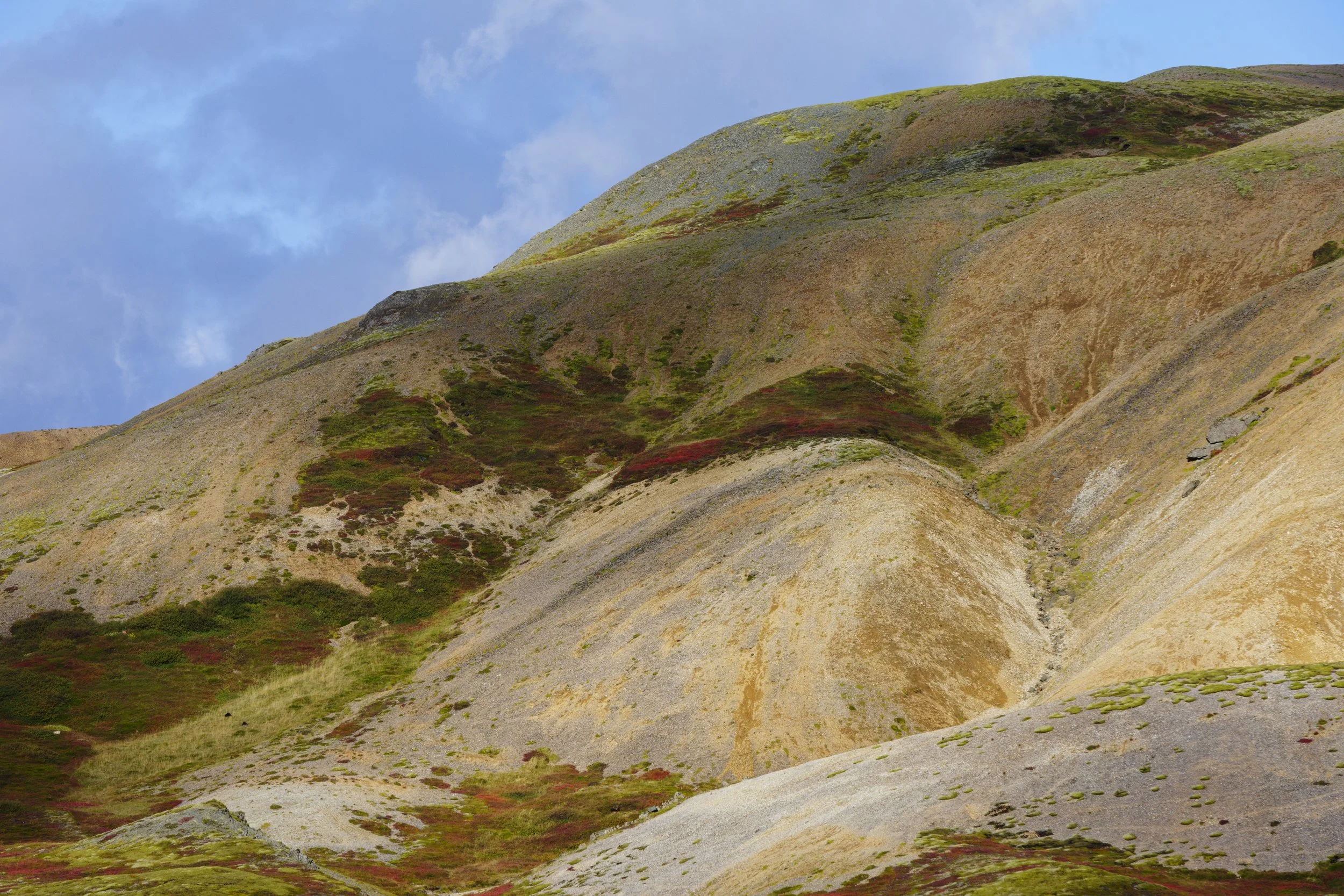 Mountains with colorful vegetation under a blue sky with clouds.